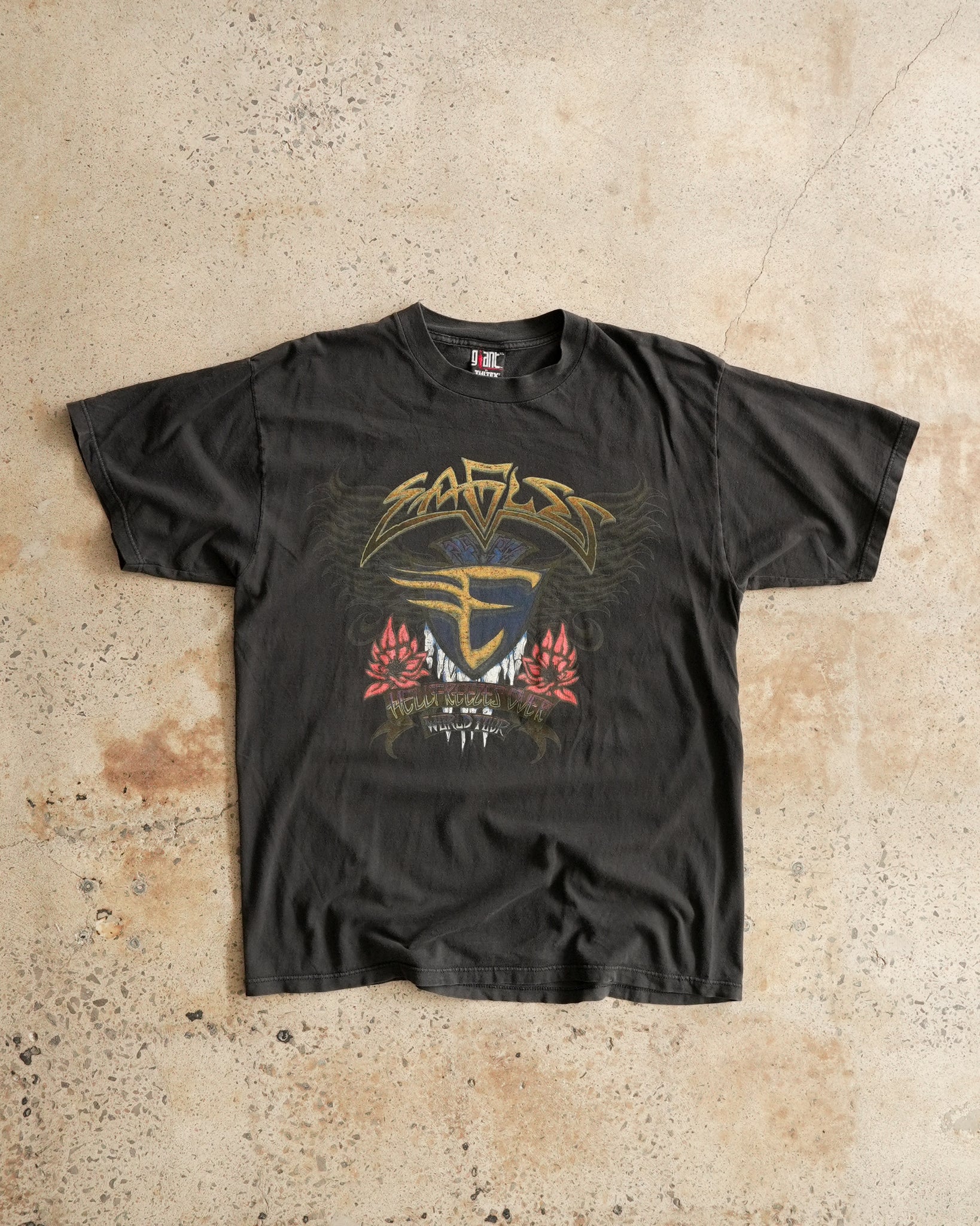 eagles hell freezes over 1994 world tour