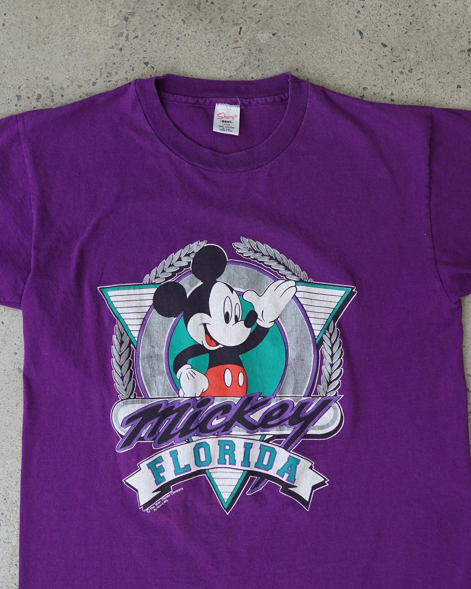 mickey mouse disney florida t-shirt