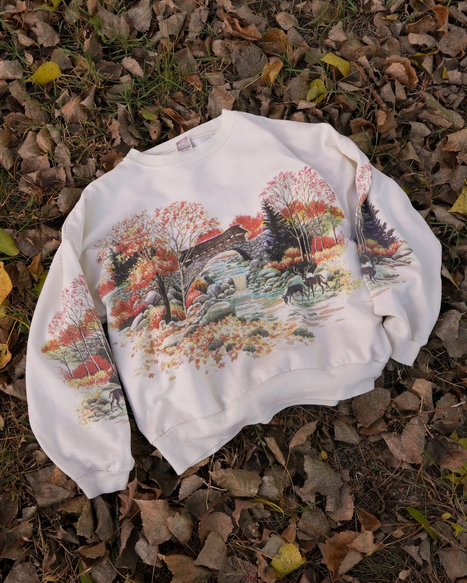 fall scenery all over print crewneck