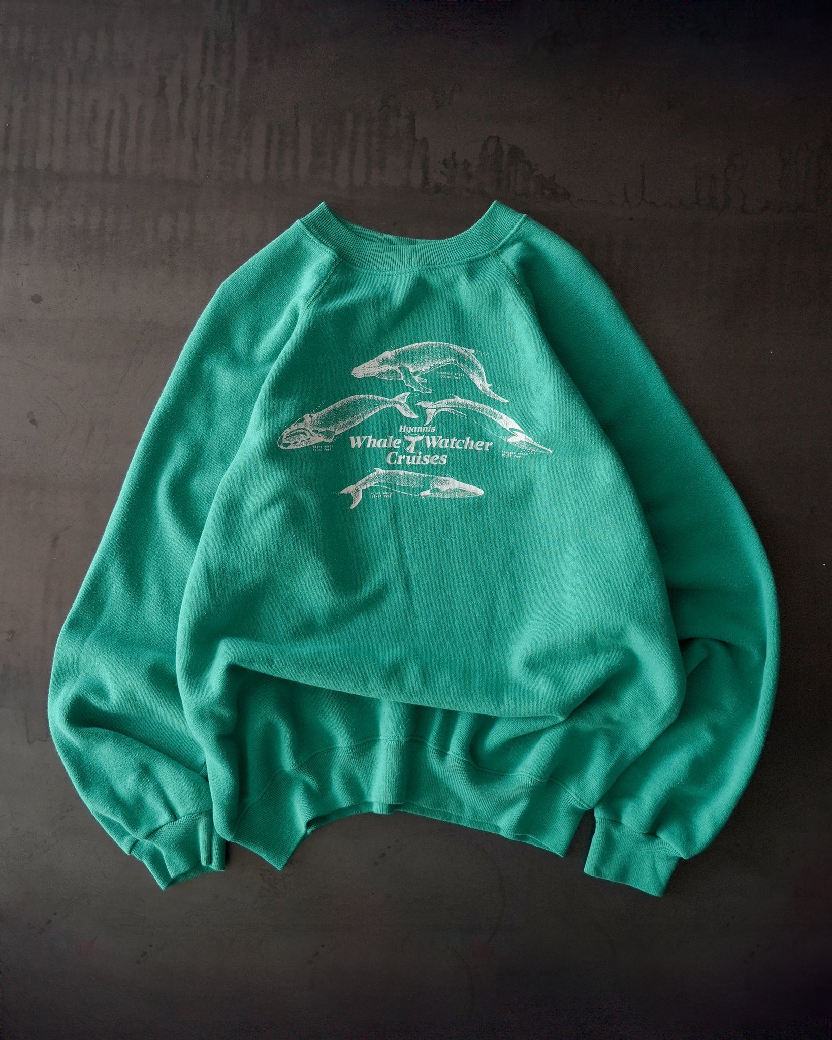 whale watcher cruises crewneck