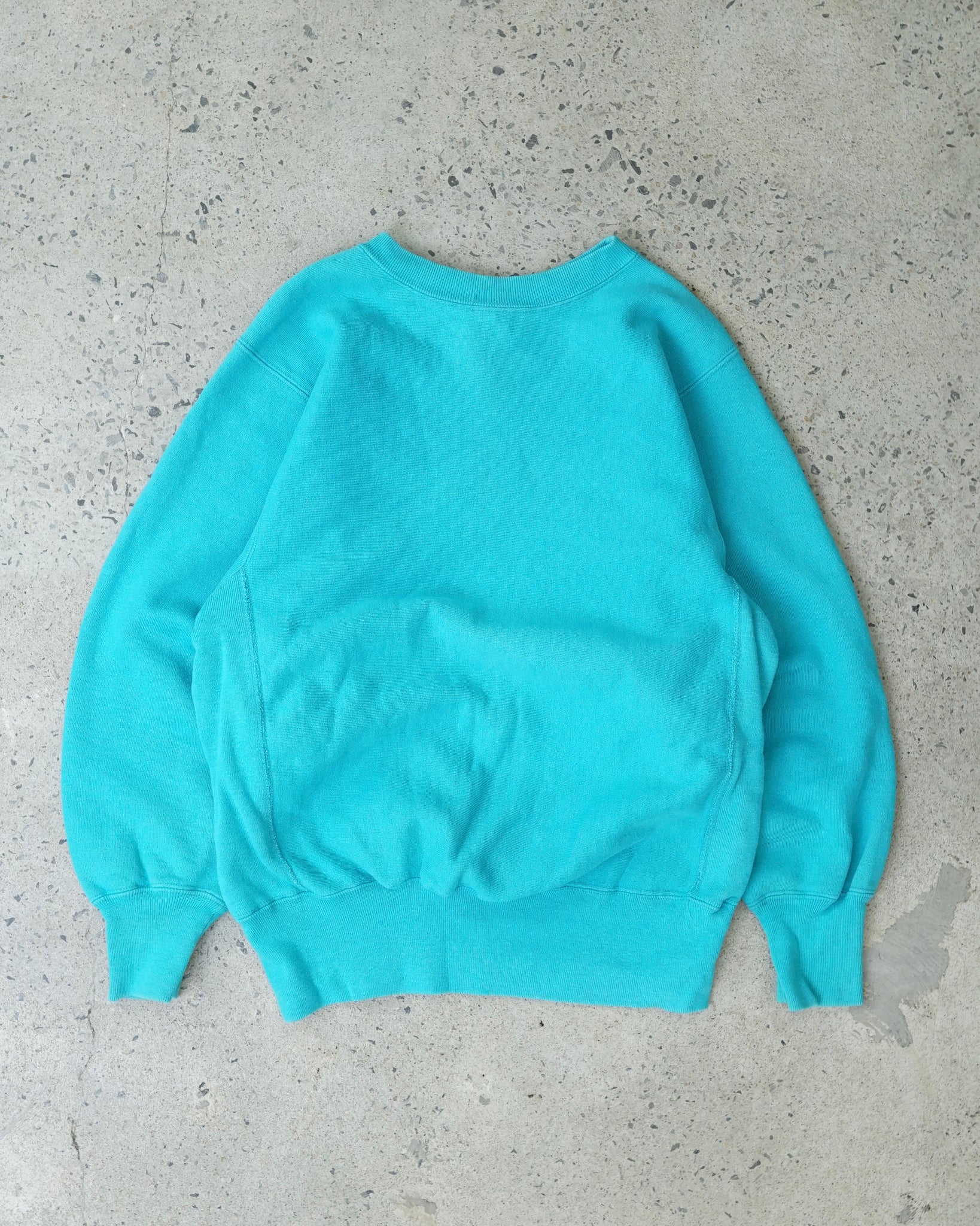 champion reverse weave crewneck