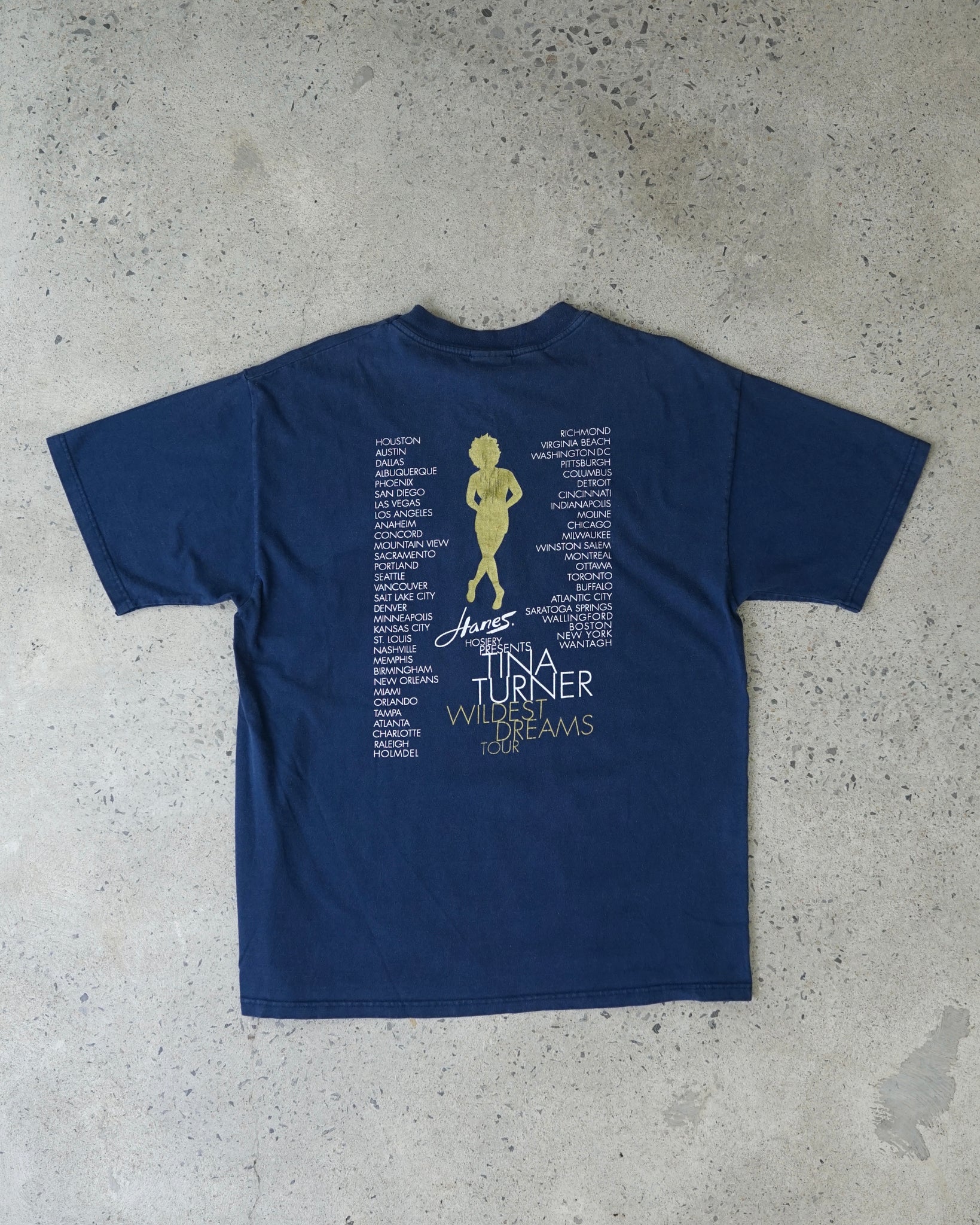 tina turner wildest dream tour t-shirt