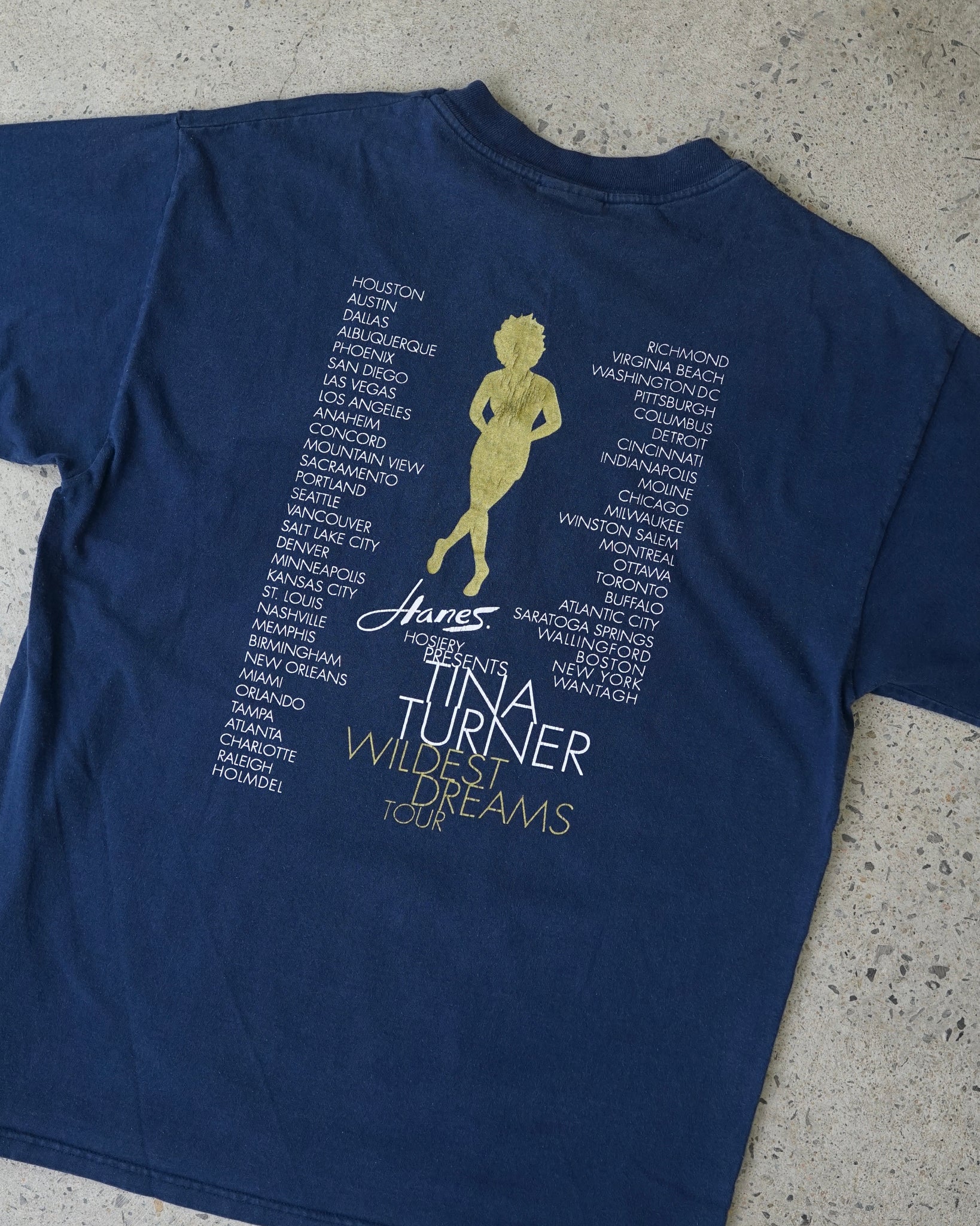 tina turner wildest dream tour t-shirt