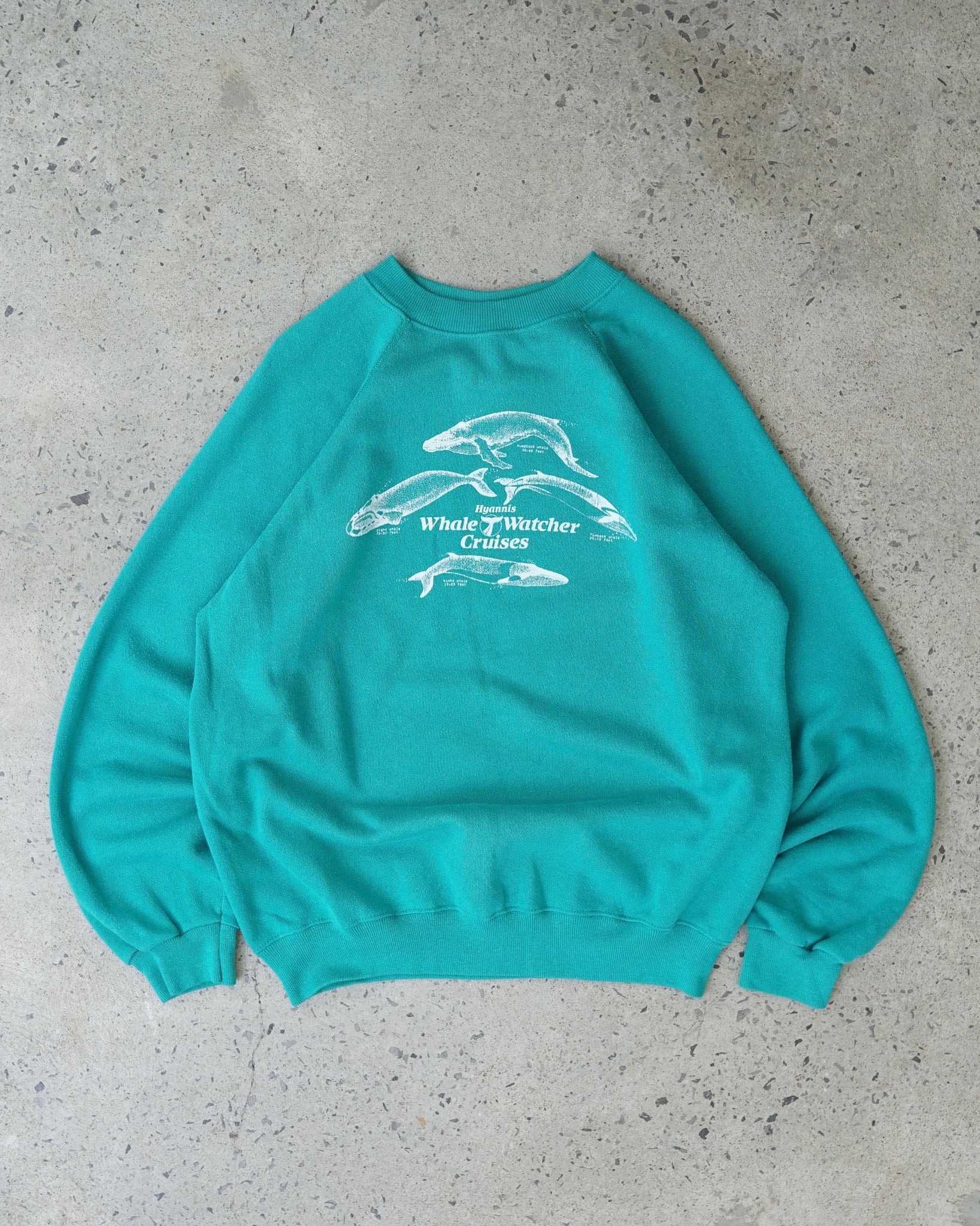 whale watcher cruises crewneck