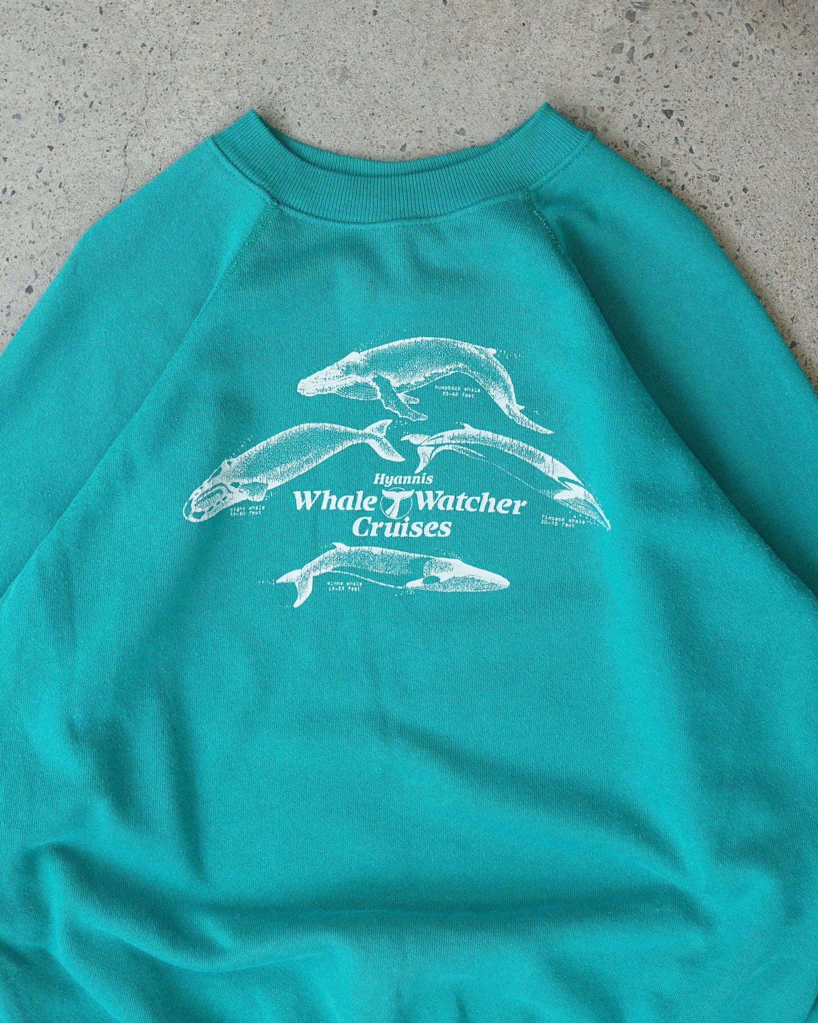 whale watcher cruises crewneck