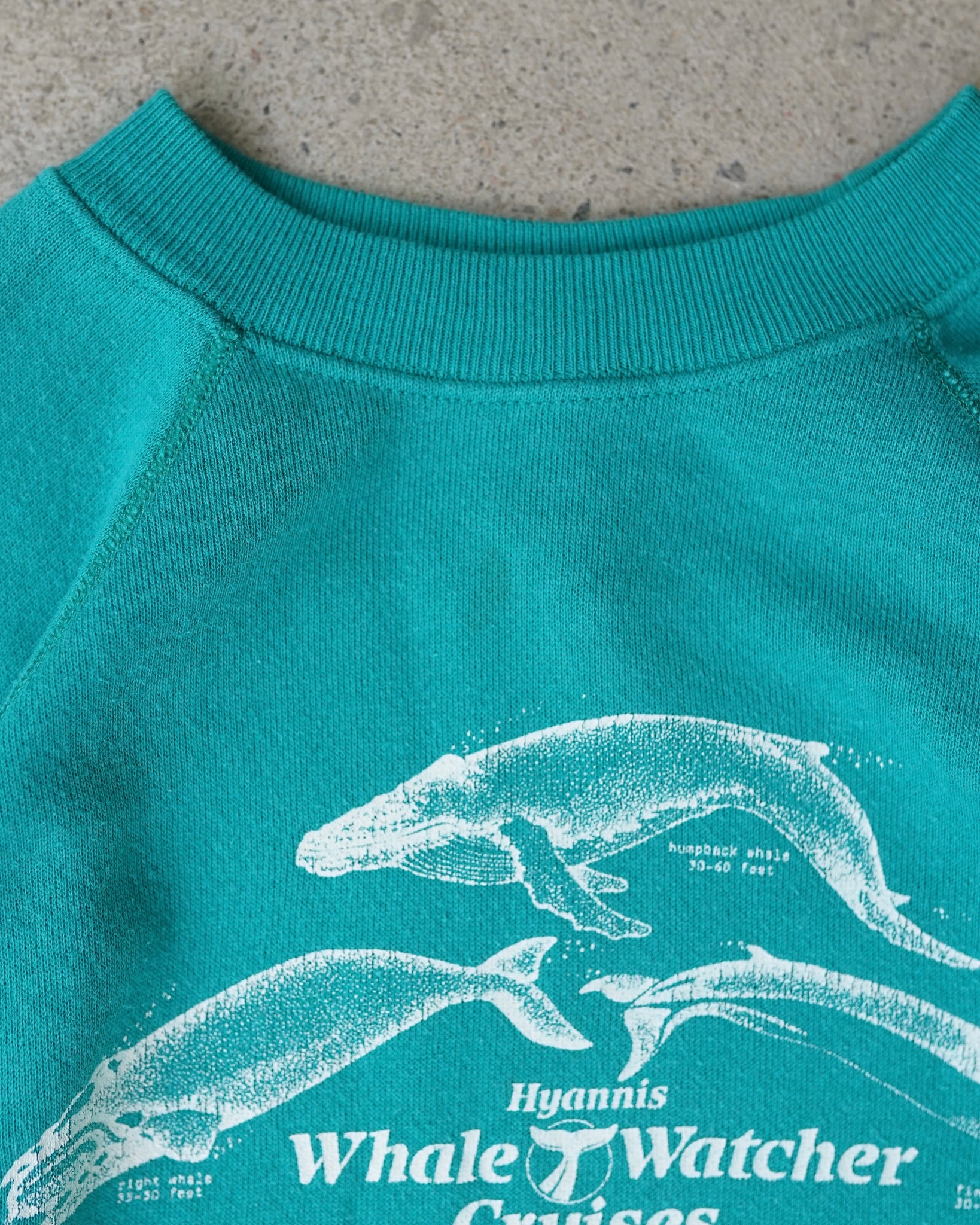 whale watcher cruises crewneck
