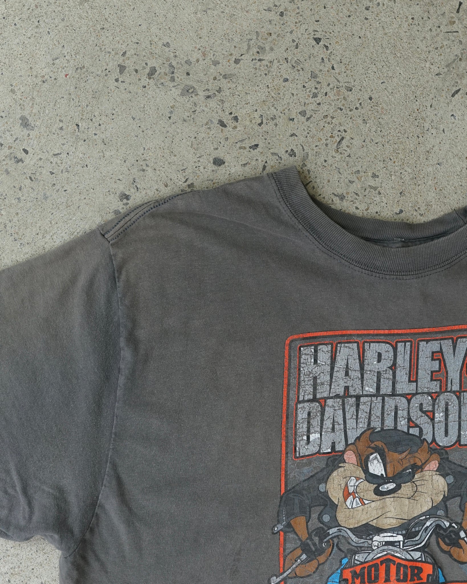 harley davidson looney tunes clearwater florida t-shirt