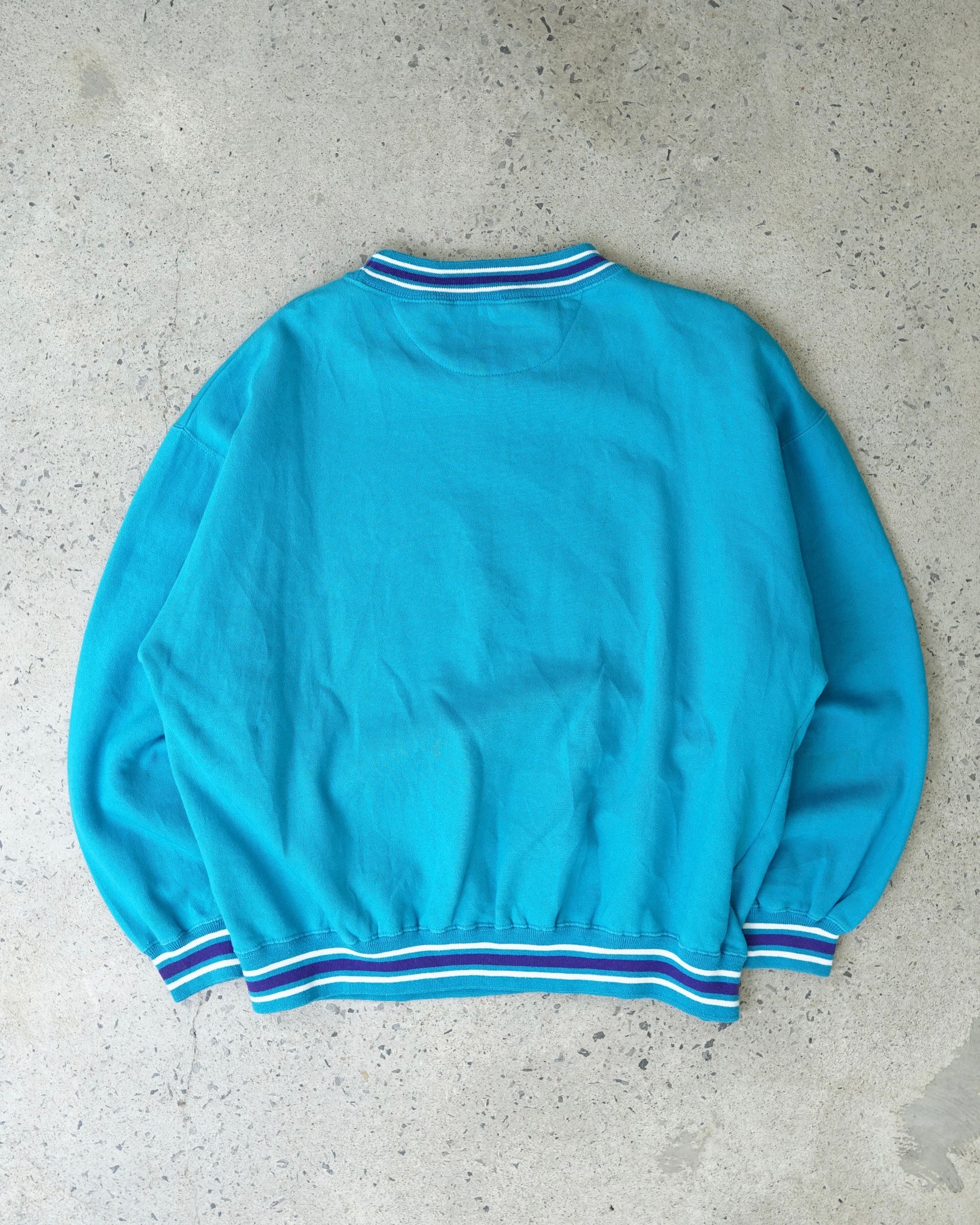 charlotte hornets basketball crewneck - large