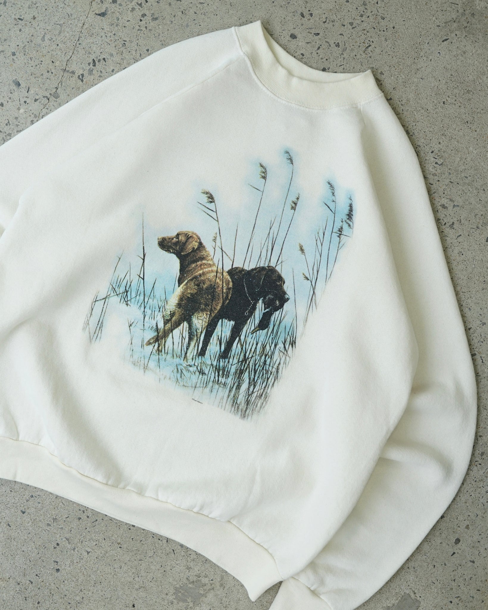 diane johnson crewneck