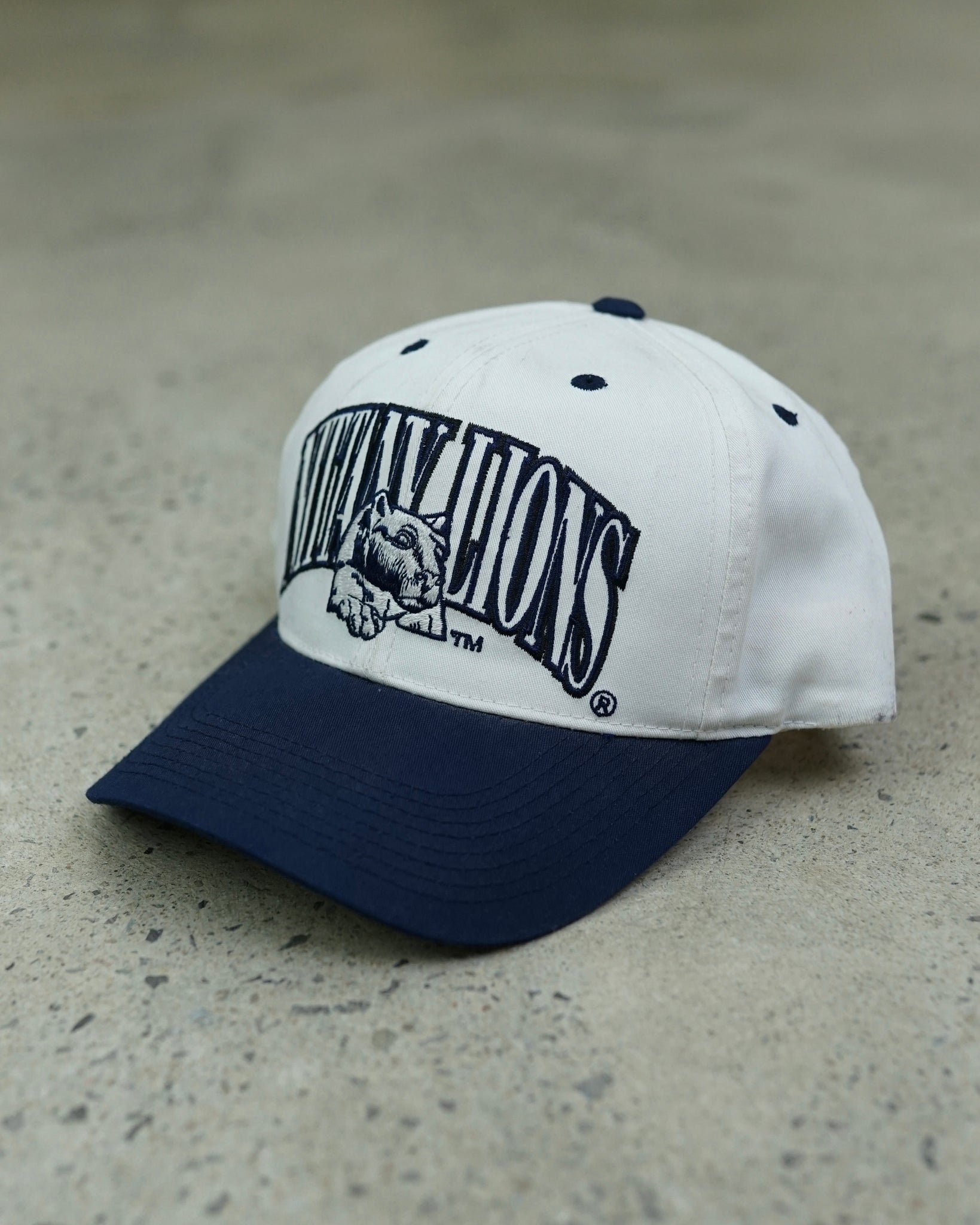 nittany lions snapback hat