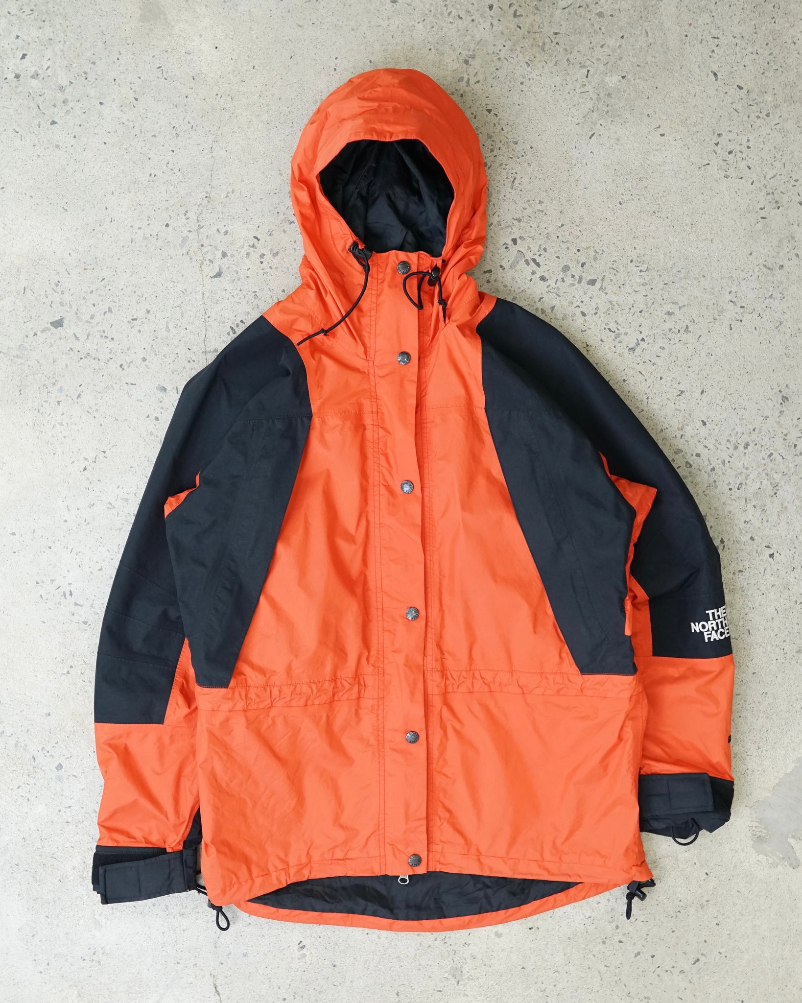 the northface gortex coat - women's medium