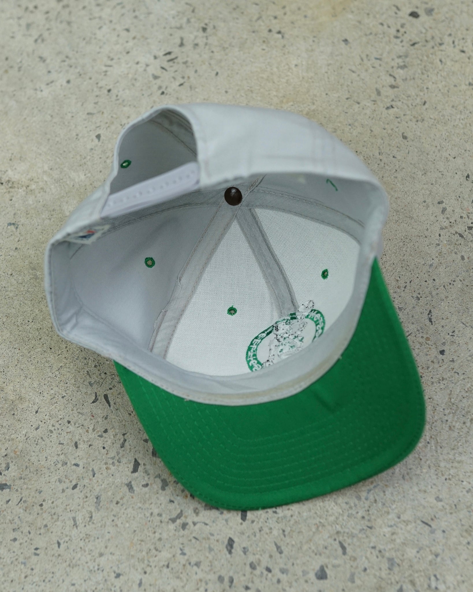 boston celtics snapback hat