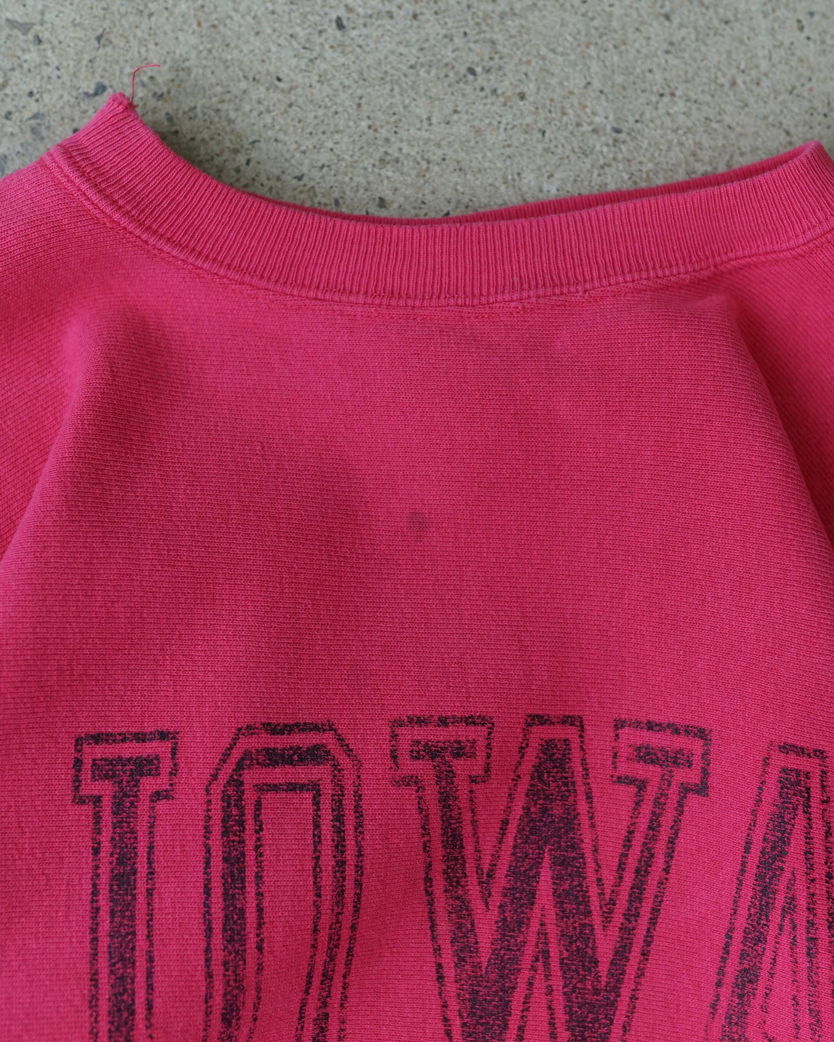 iowa champion reverse weave t-shirt