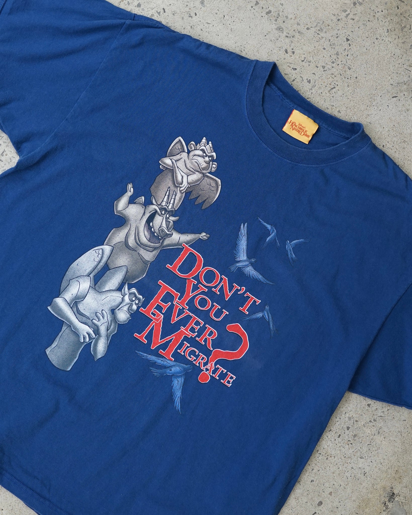 the hunchback of notre dame disney t-shirt