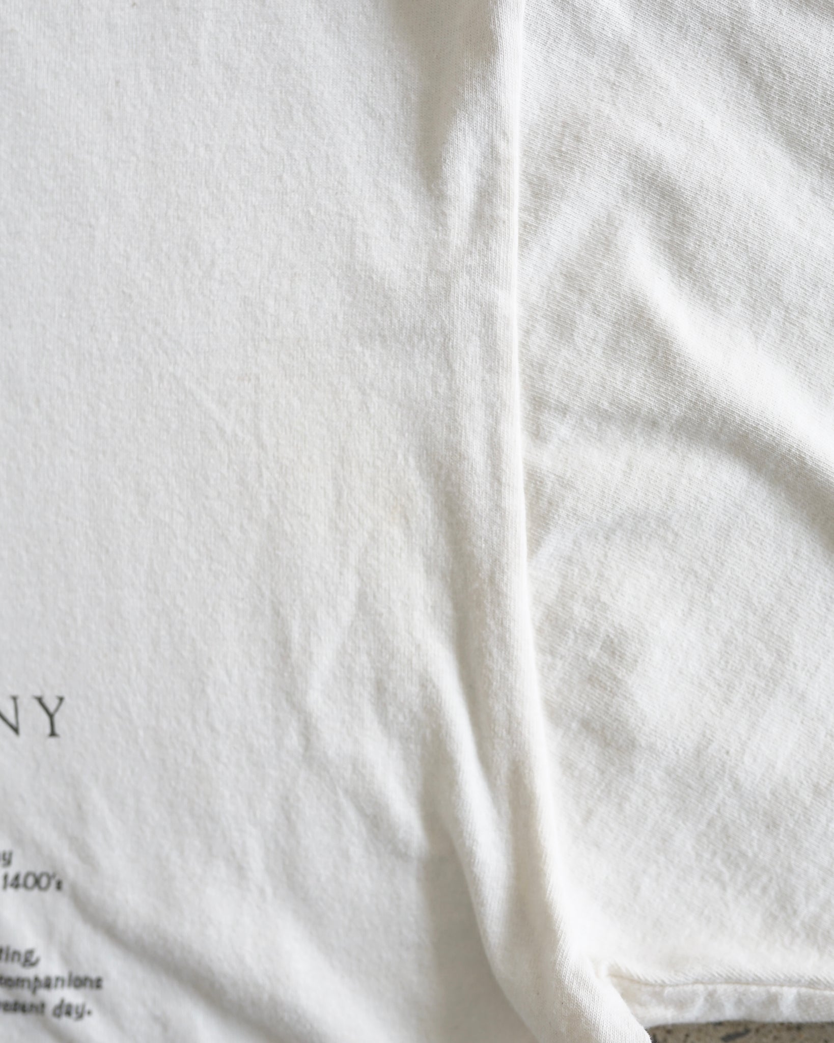 miniature schnanzer t-shirt