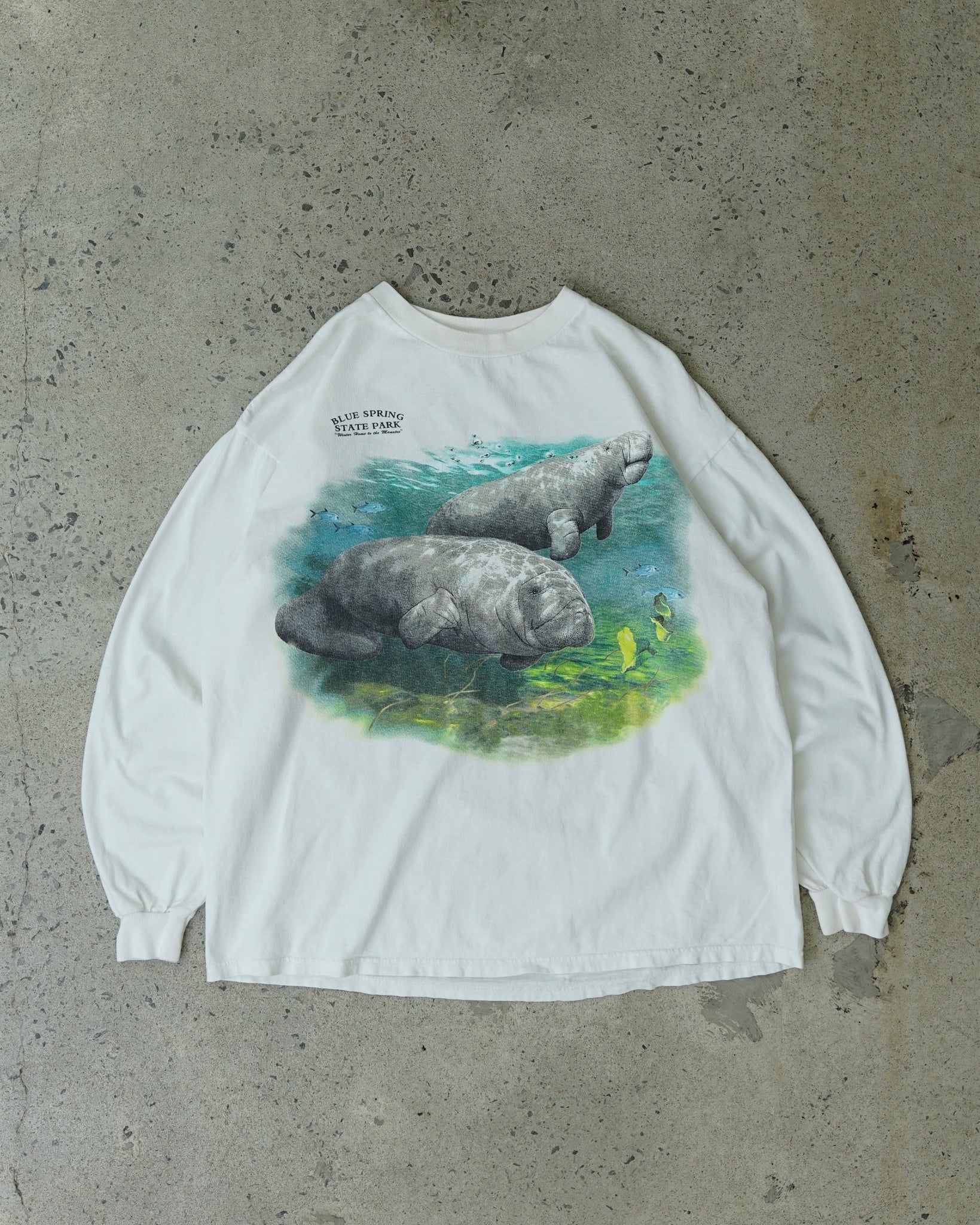 manatees blue springs state park longsleeve