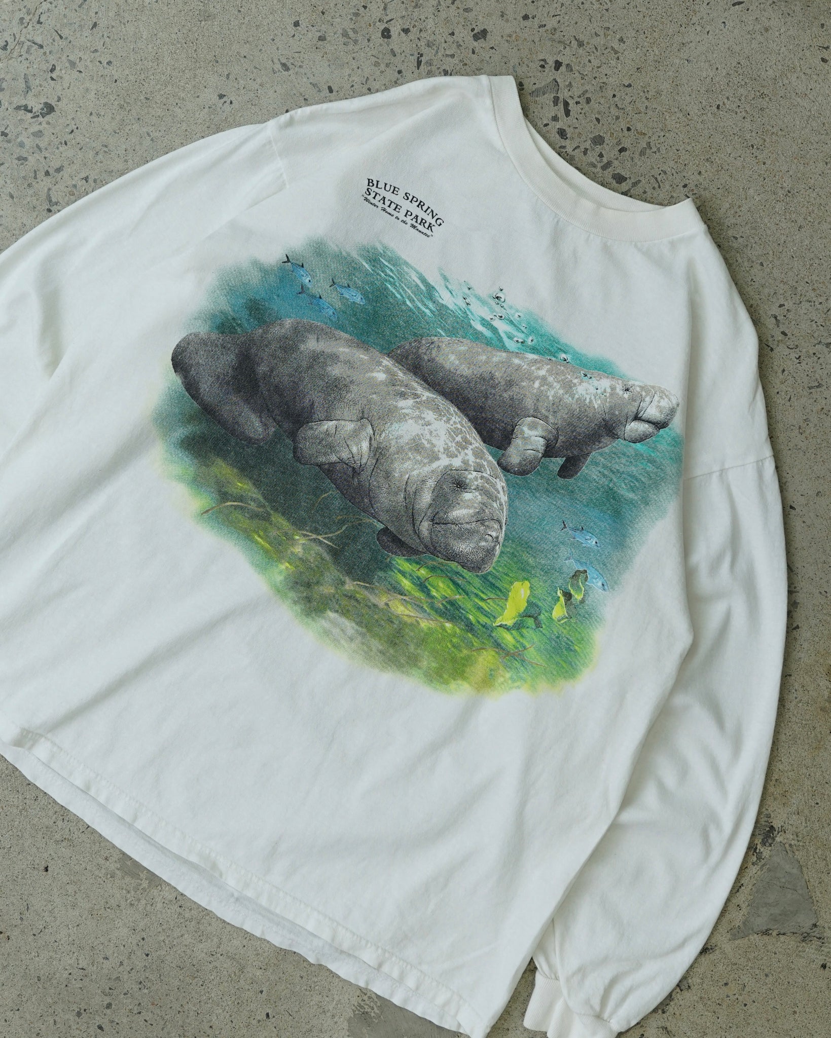 manatees blue springs state park longsleeve