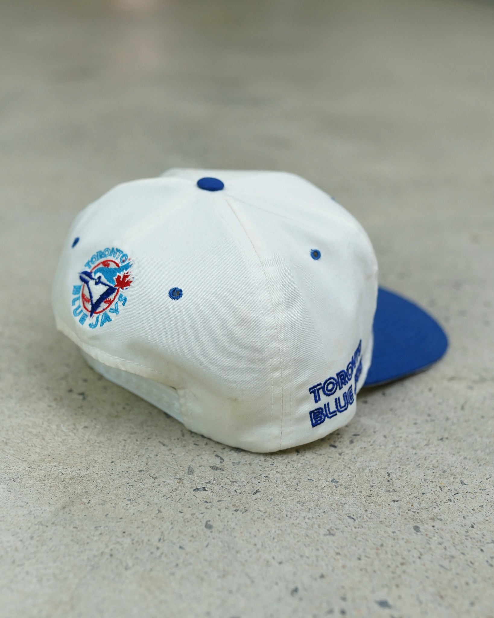 toronto blue jays snapback hat