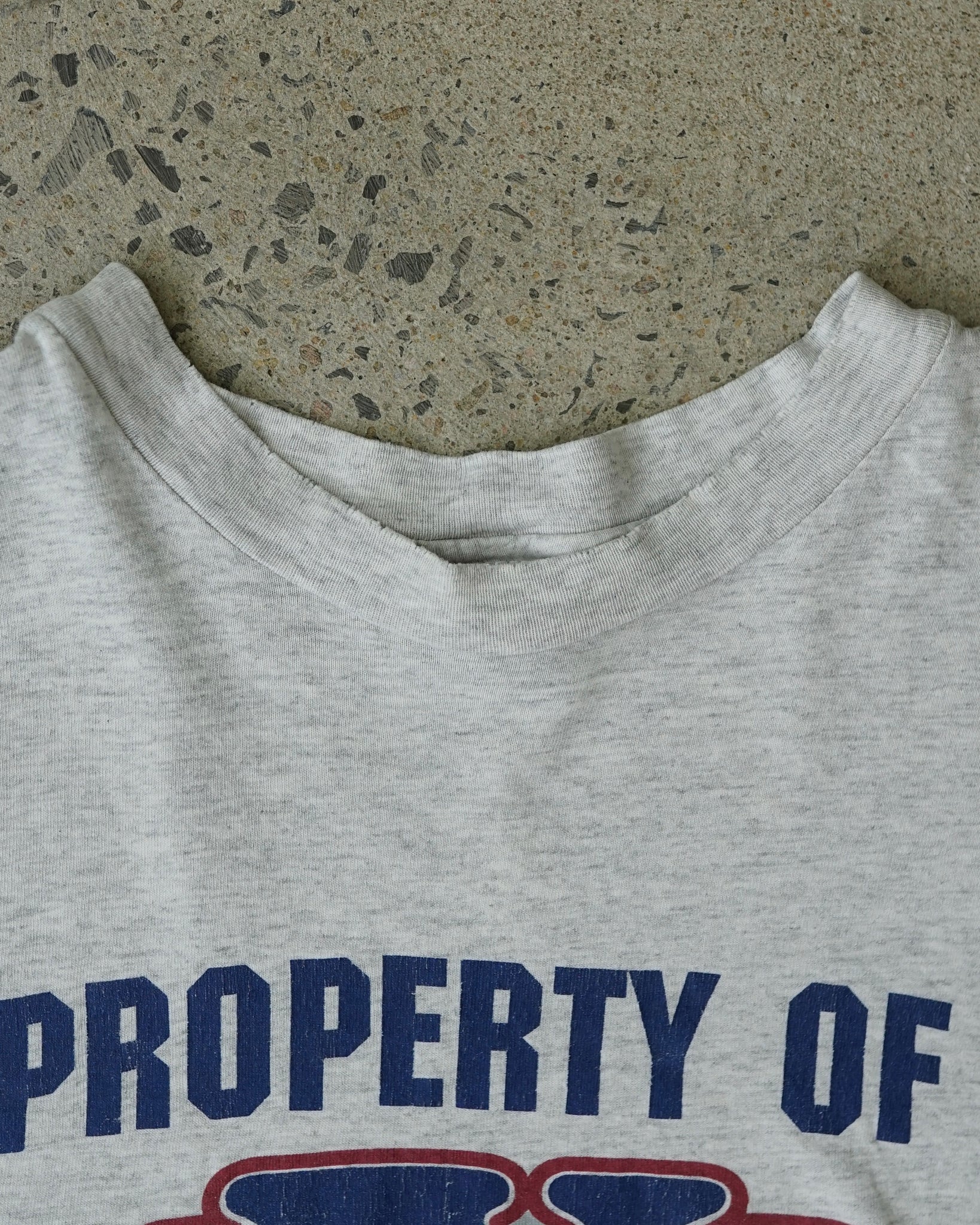 usa training team olympics t-shirt