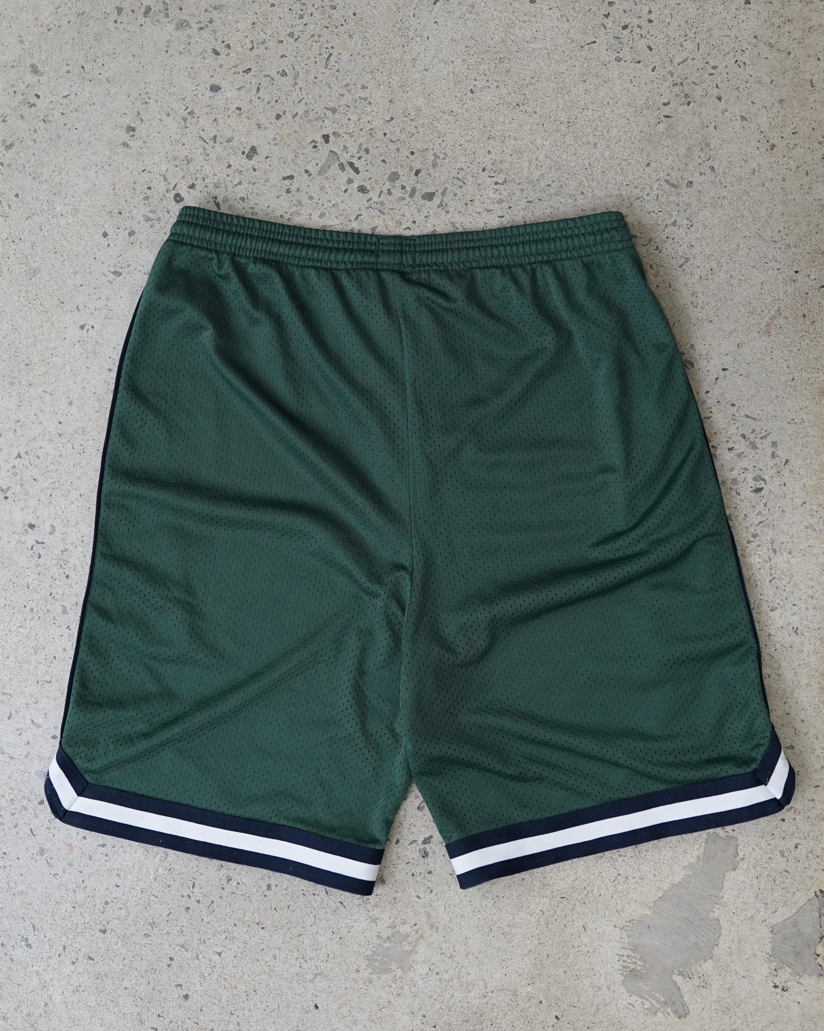 champion sports shorts