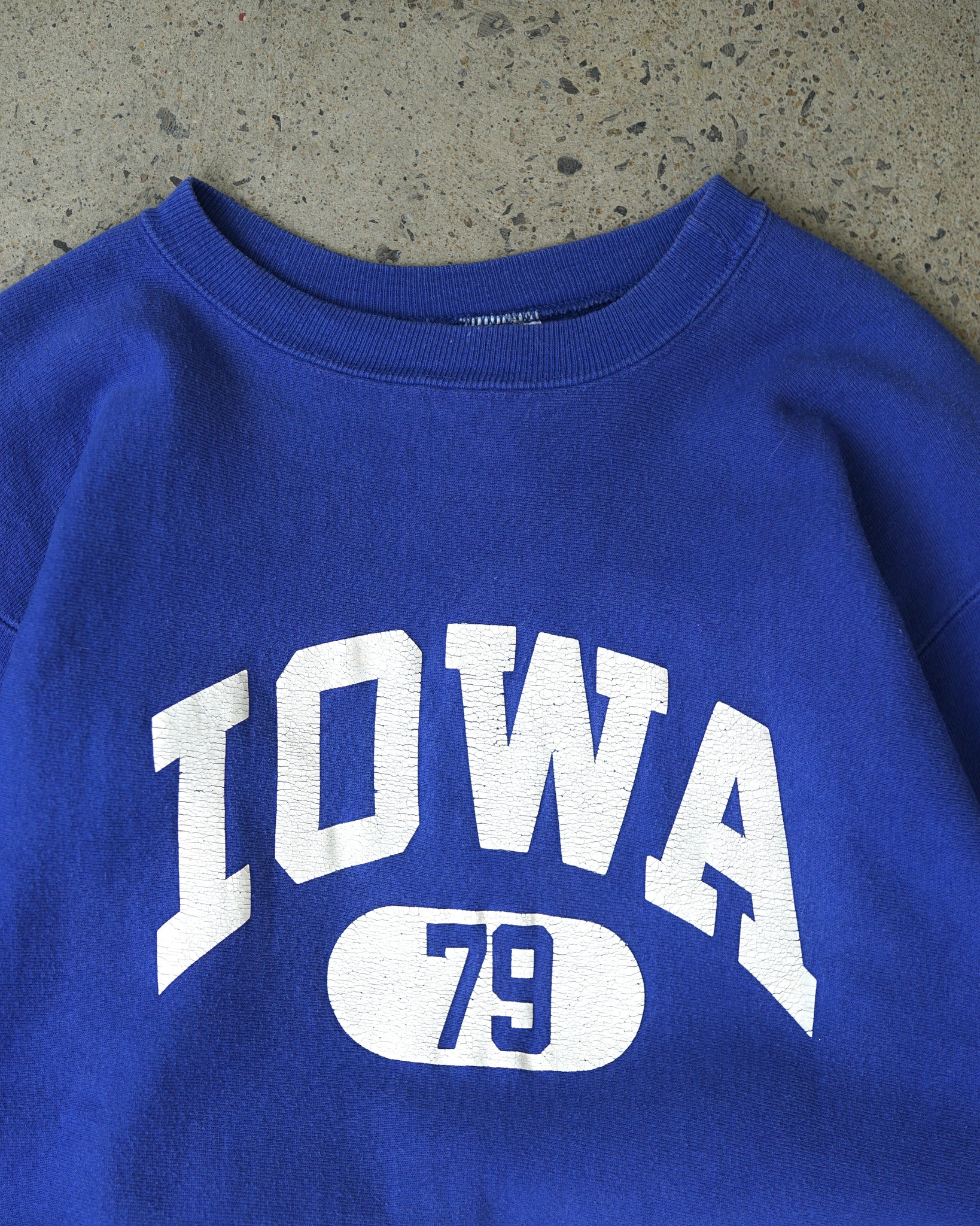 iowa champion reverse weave crewneck - large