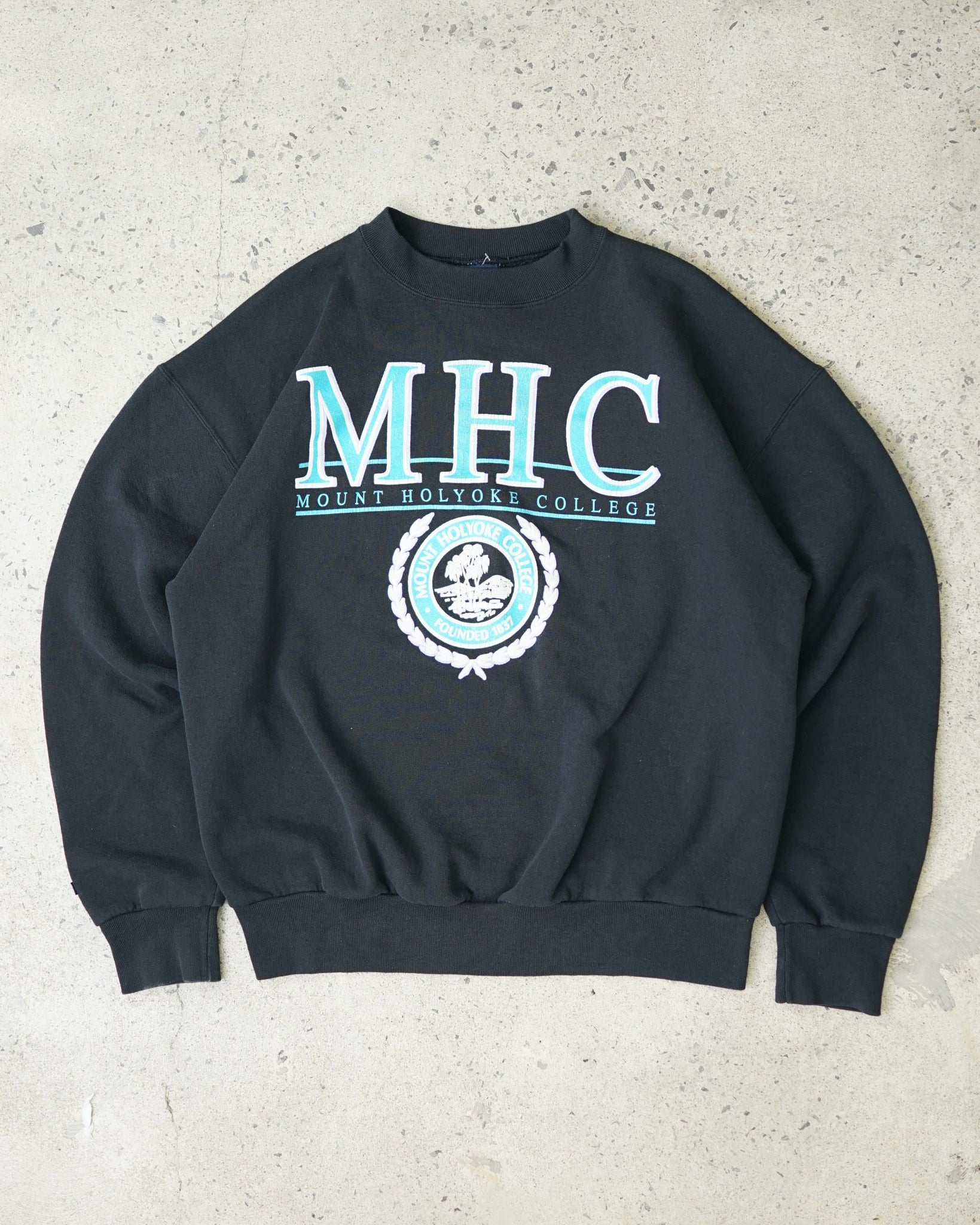 jansport mount holyoke college crewneck - large