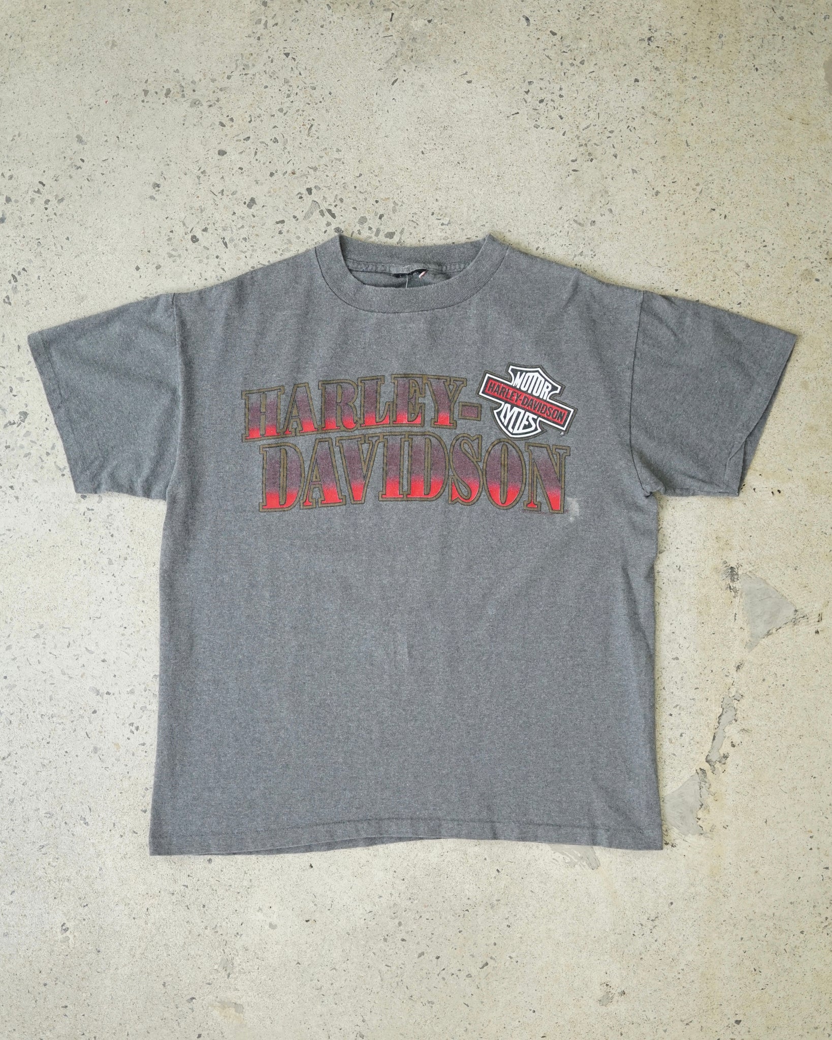 wisconsin harley-davidson 80's t-shirt - boxy medium