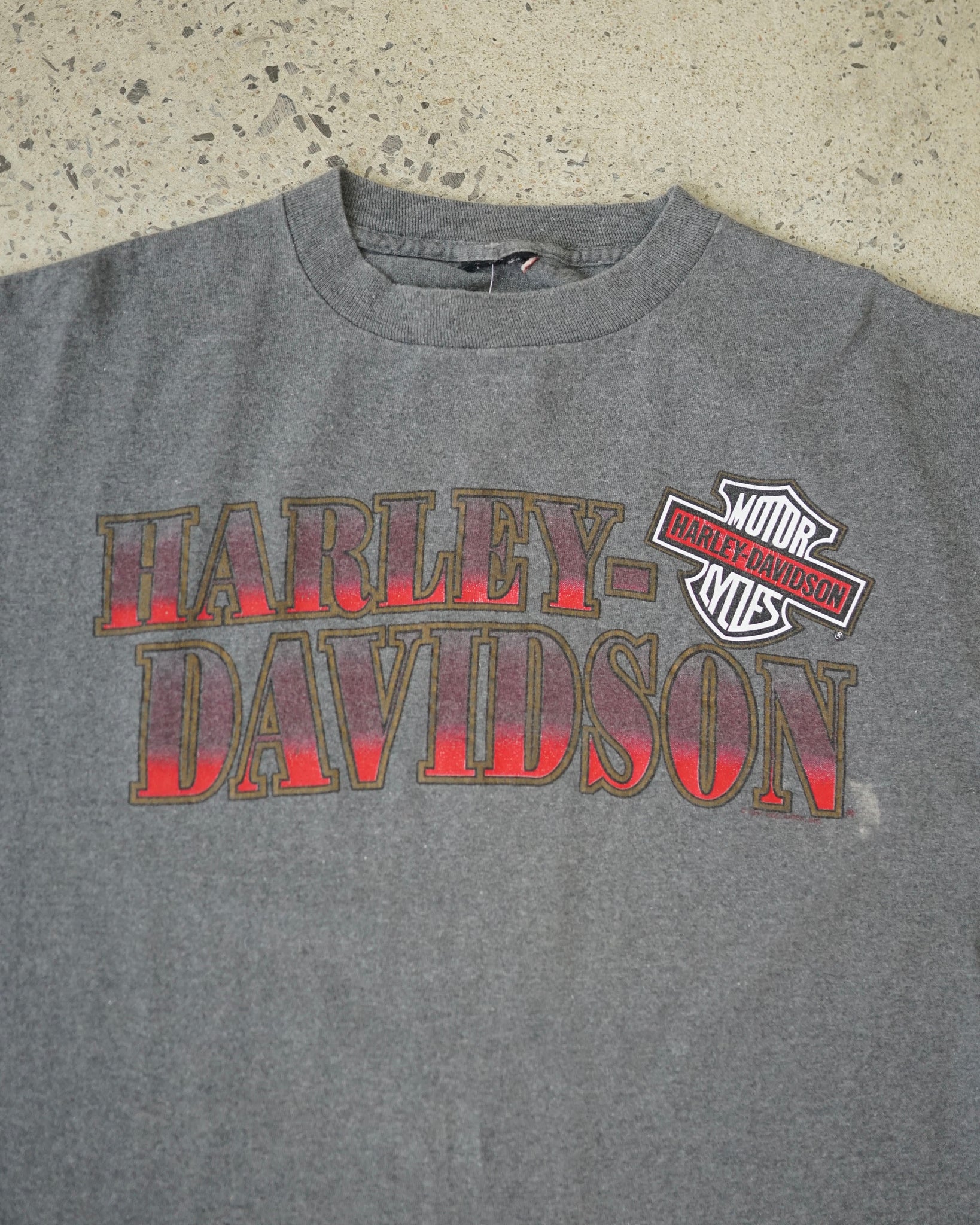 wisconsin harley-davidson 80's t-shirt - boxy medium