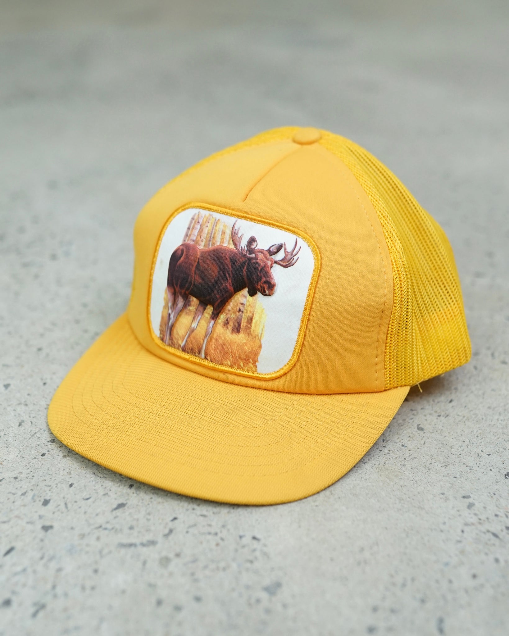 3d moose trucker hat