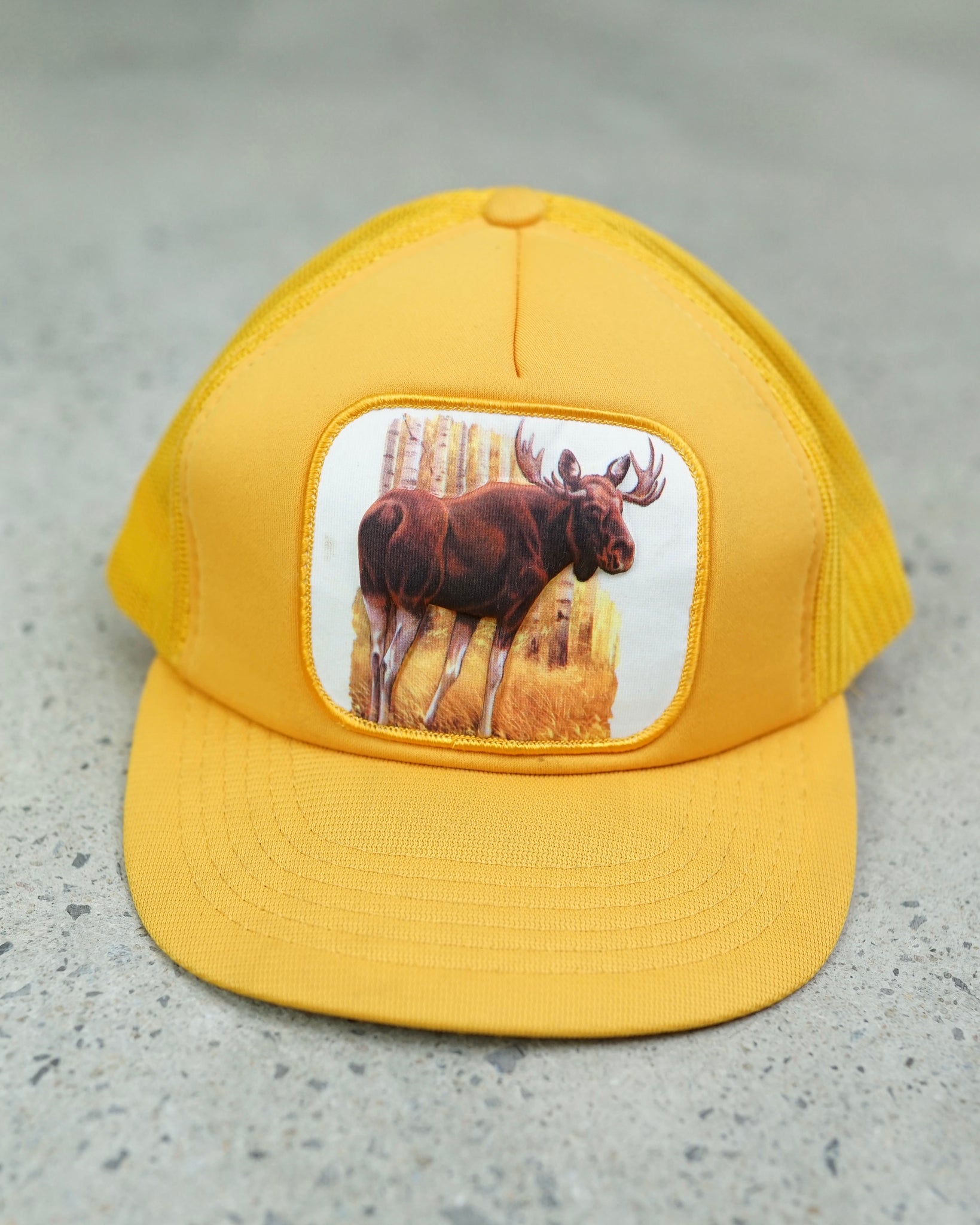 3d moose trucker hat