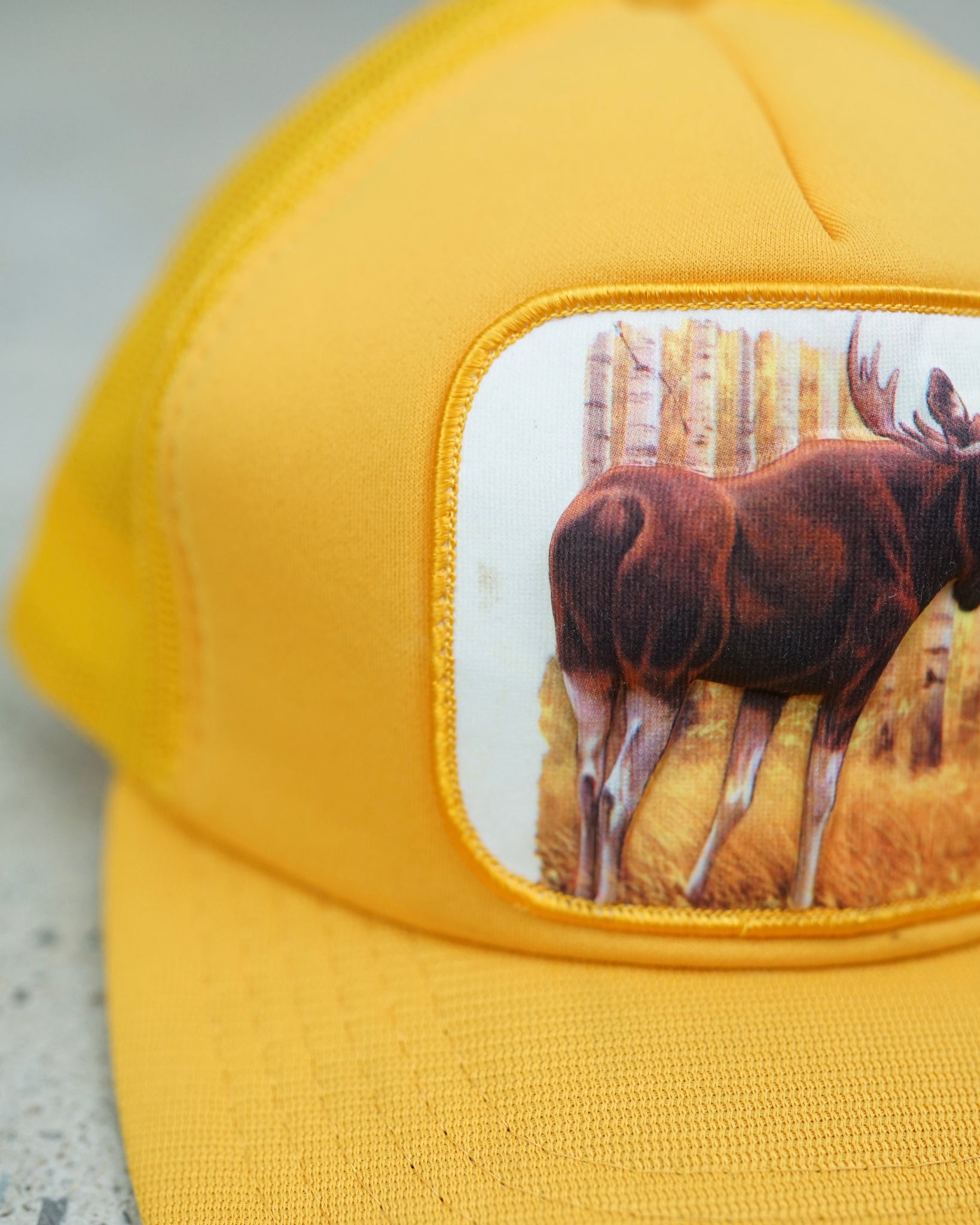 3d moose trucker hat