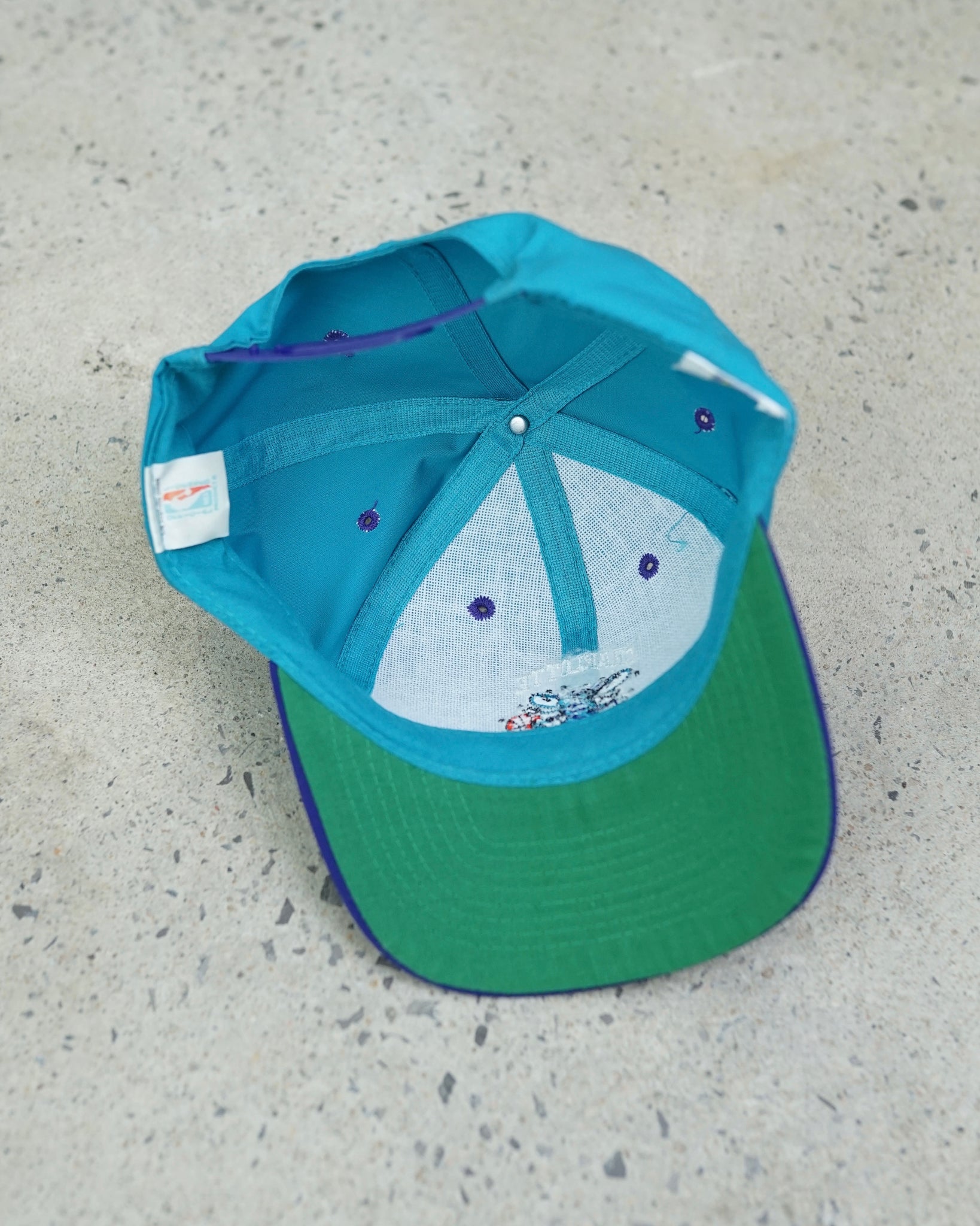 charlotte hornets nba snapback hat