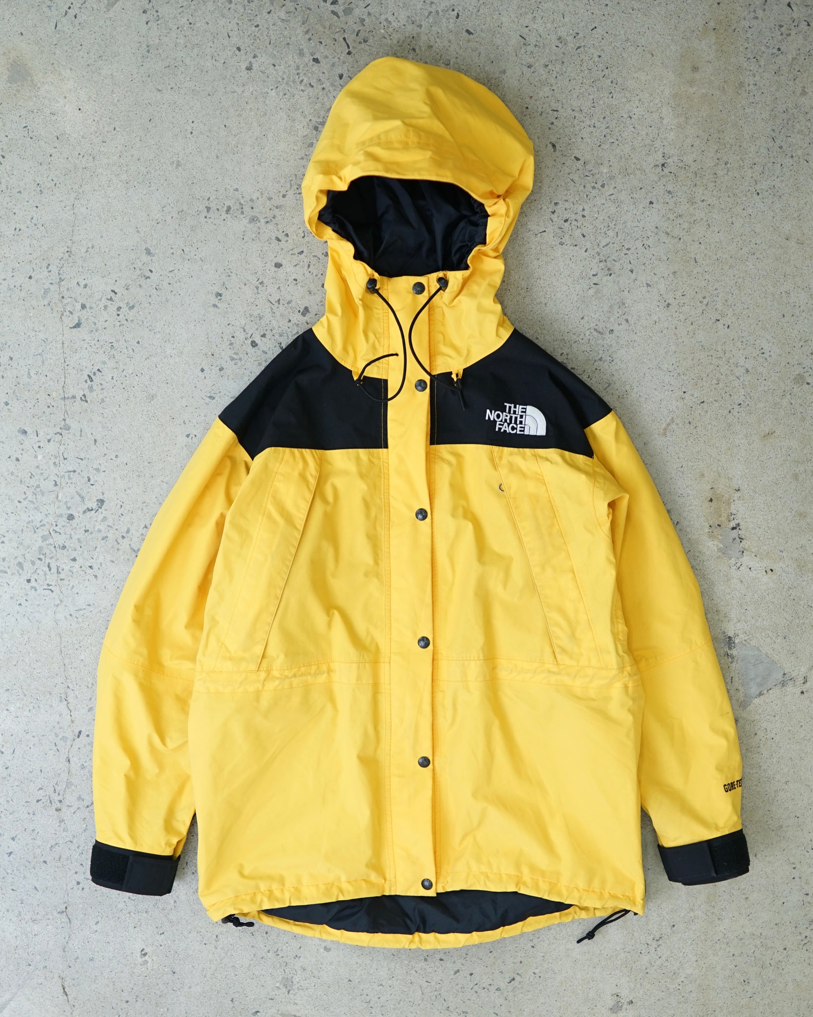 the north face gore-tex coat