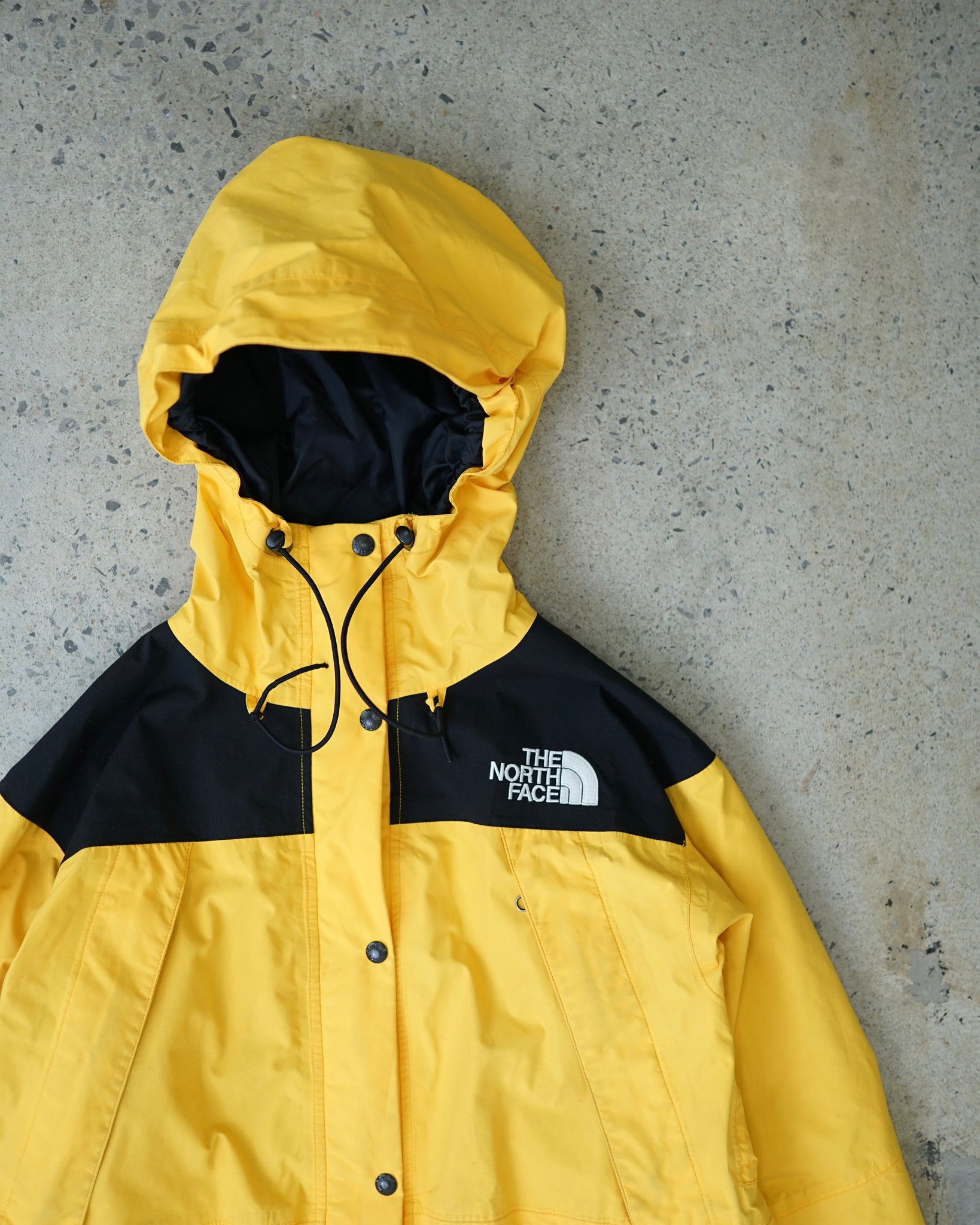 the north face gore-tex coat