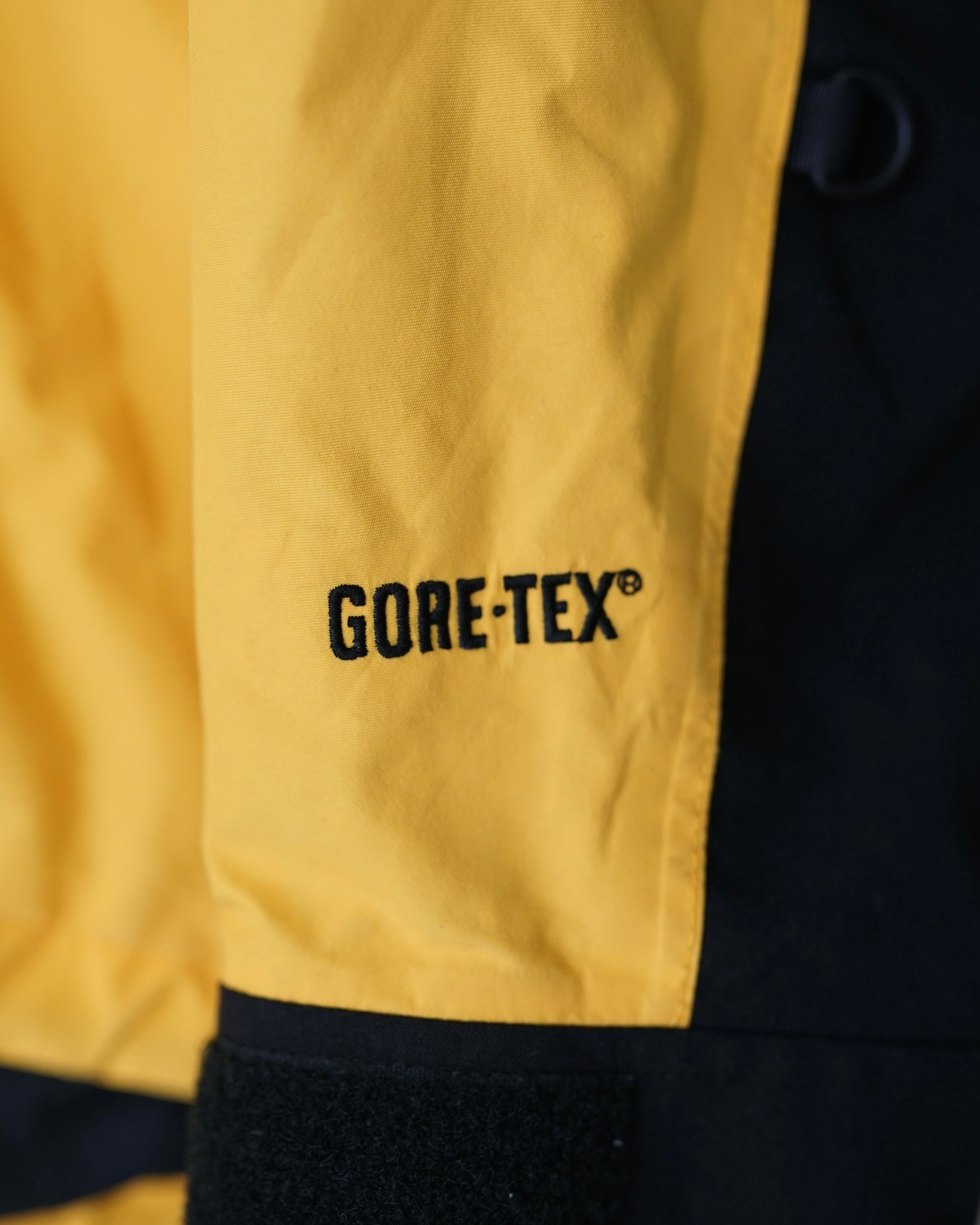 the north face gore-tex coat