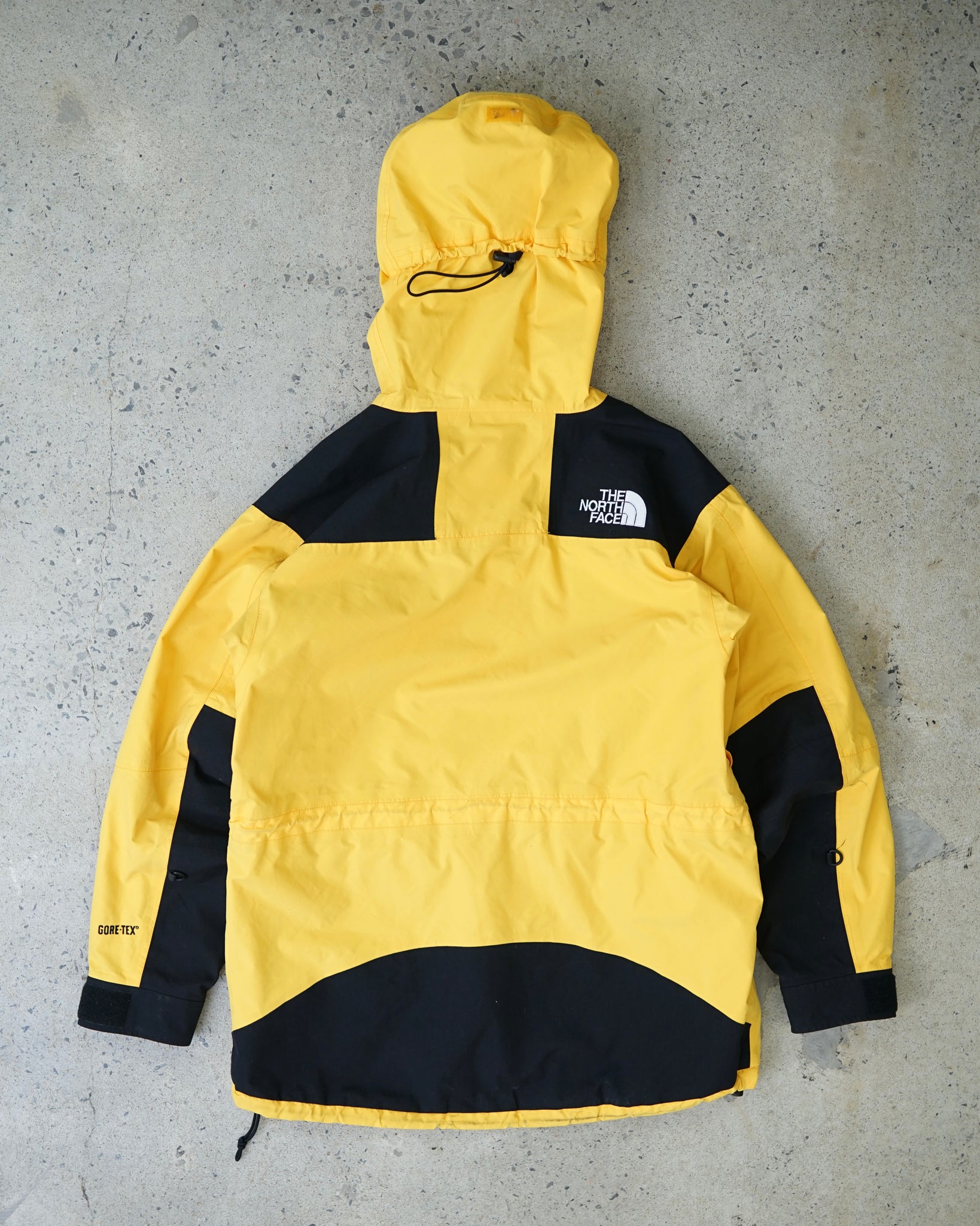 the north face gore-tex coat