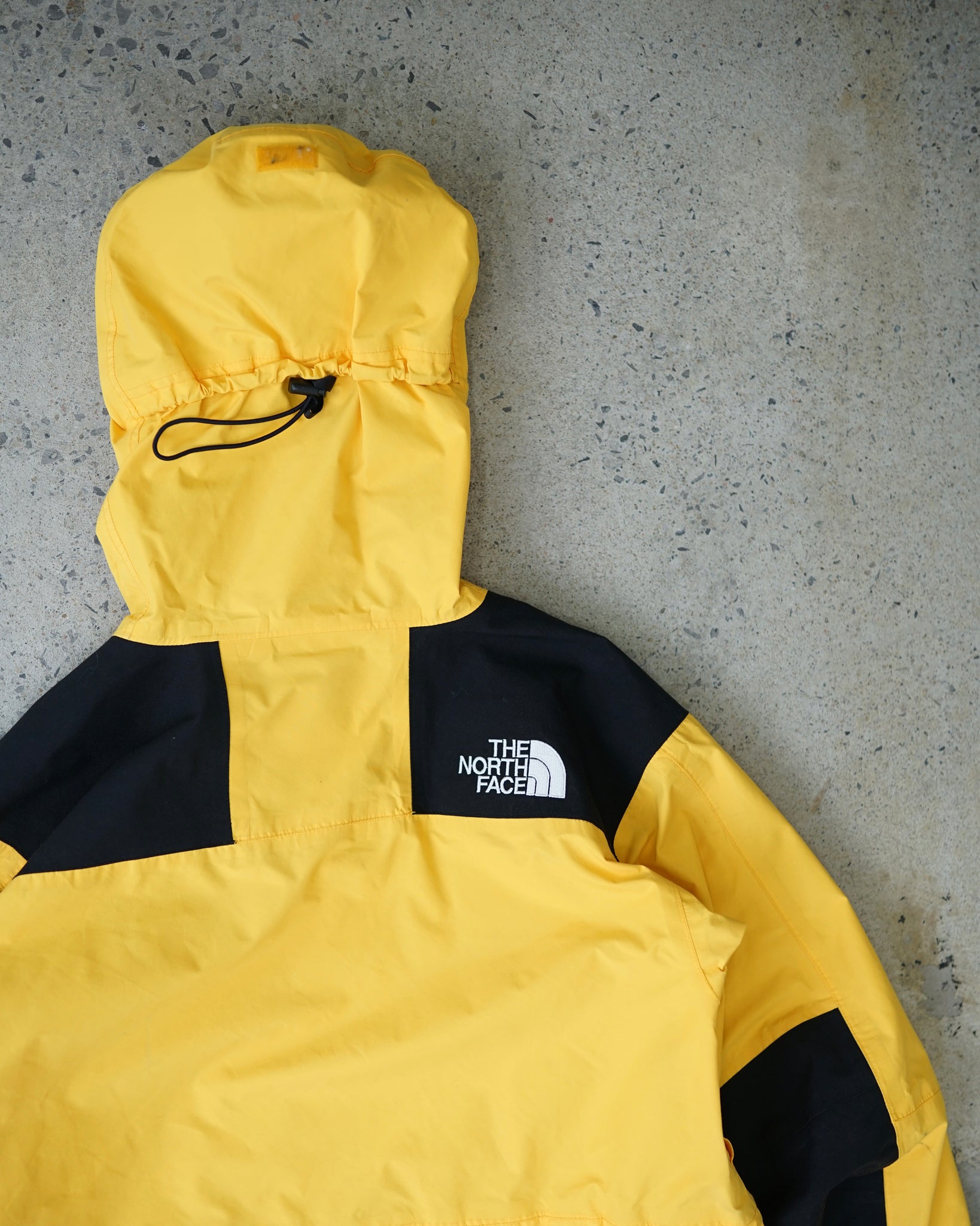 the north face gore-tex coat