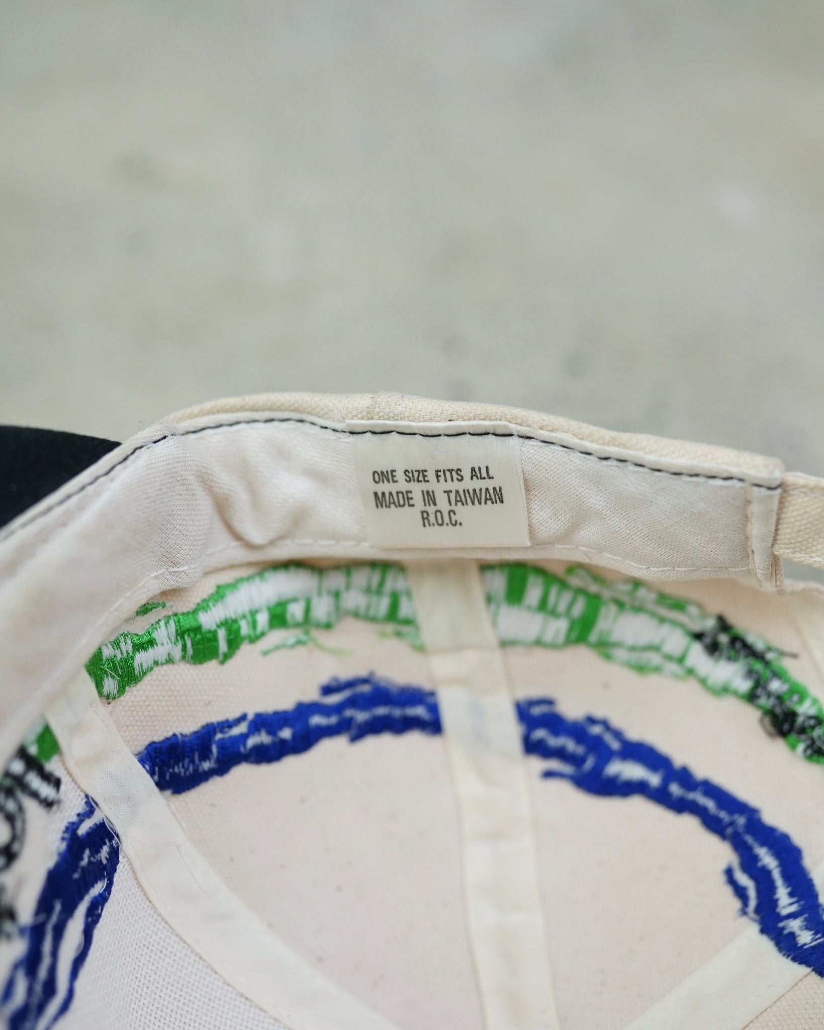 bristol motor speedway strapback hat