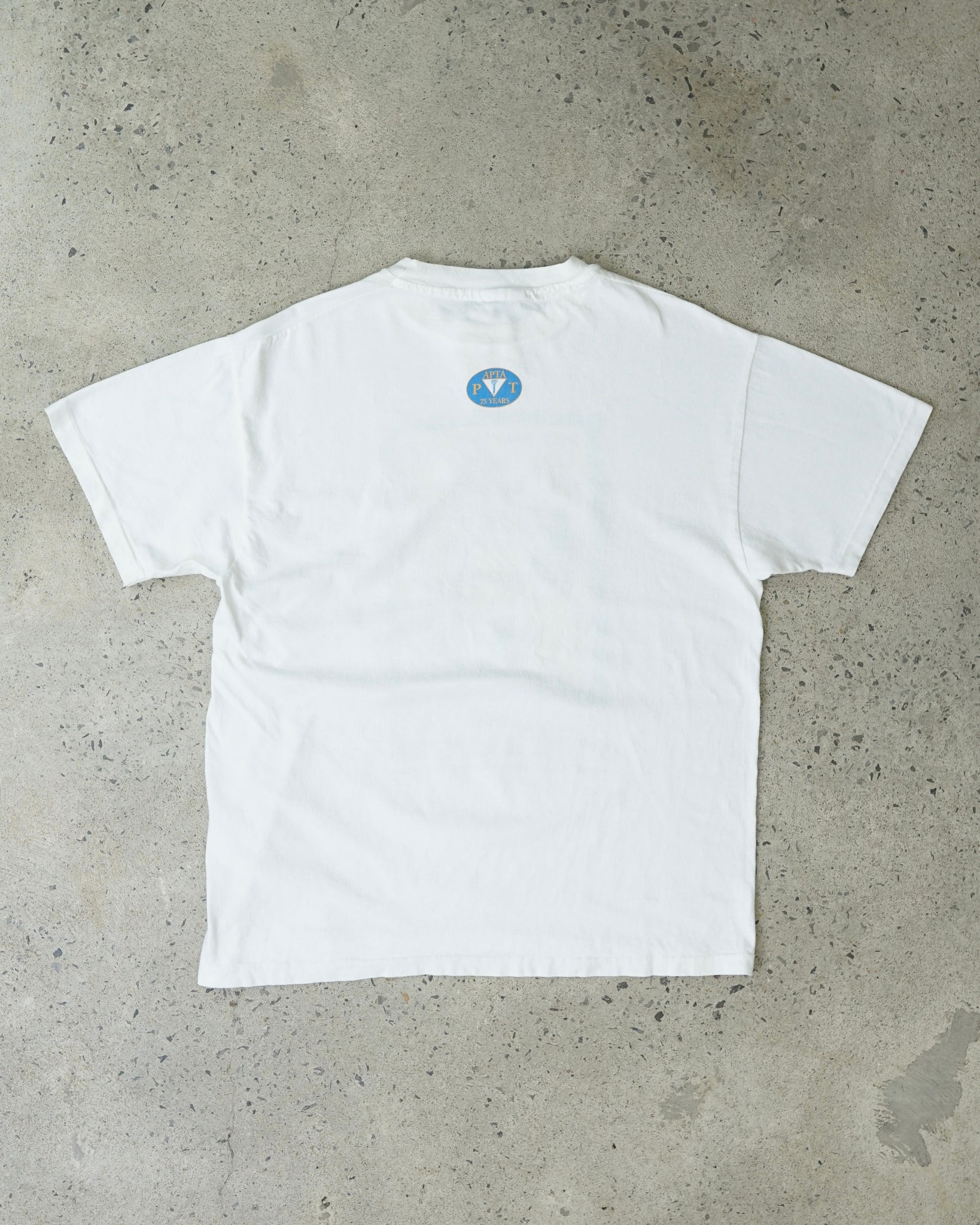 healing the generations 1996 t-shirt
