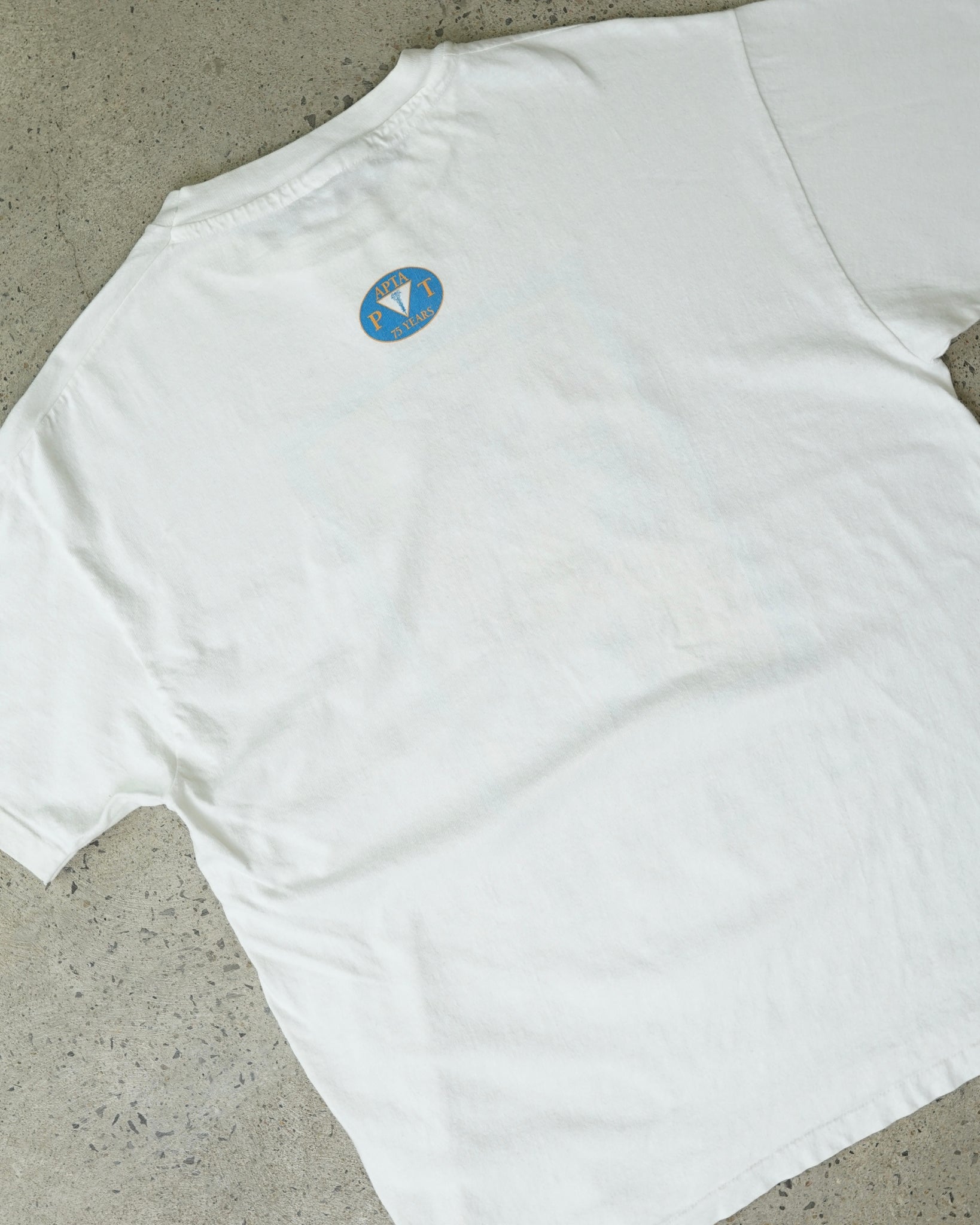 healing the generations 1996 t-shirt