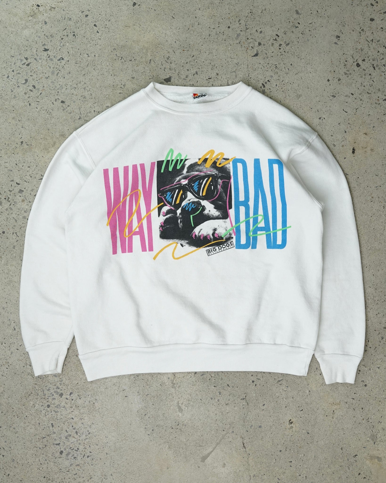 big dogs crewneck - medium