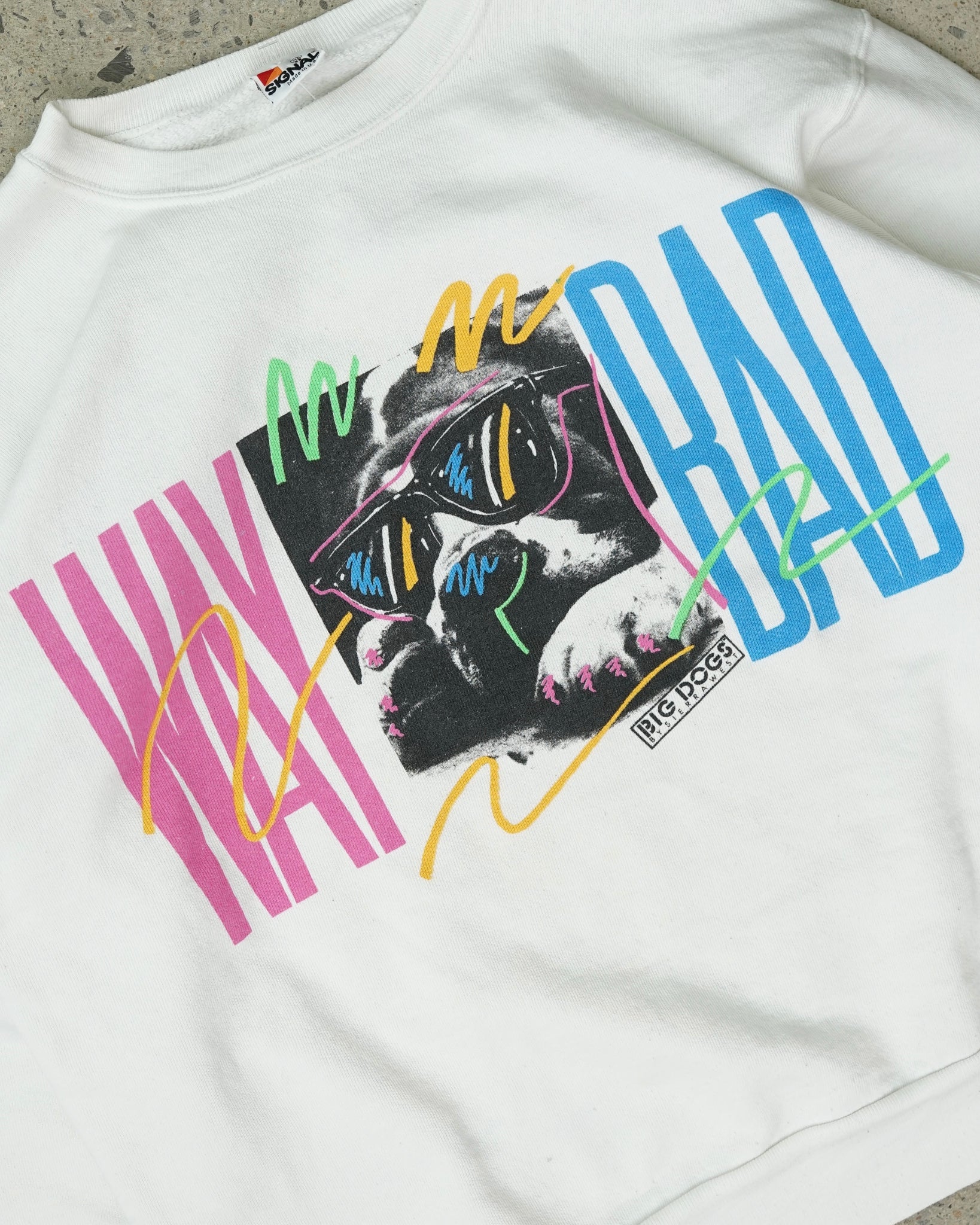 big dogs crewneck - medium