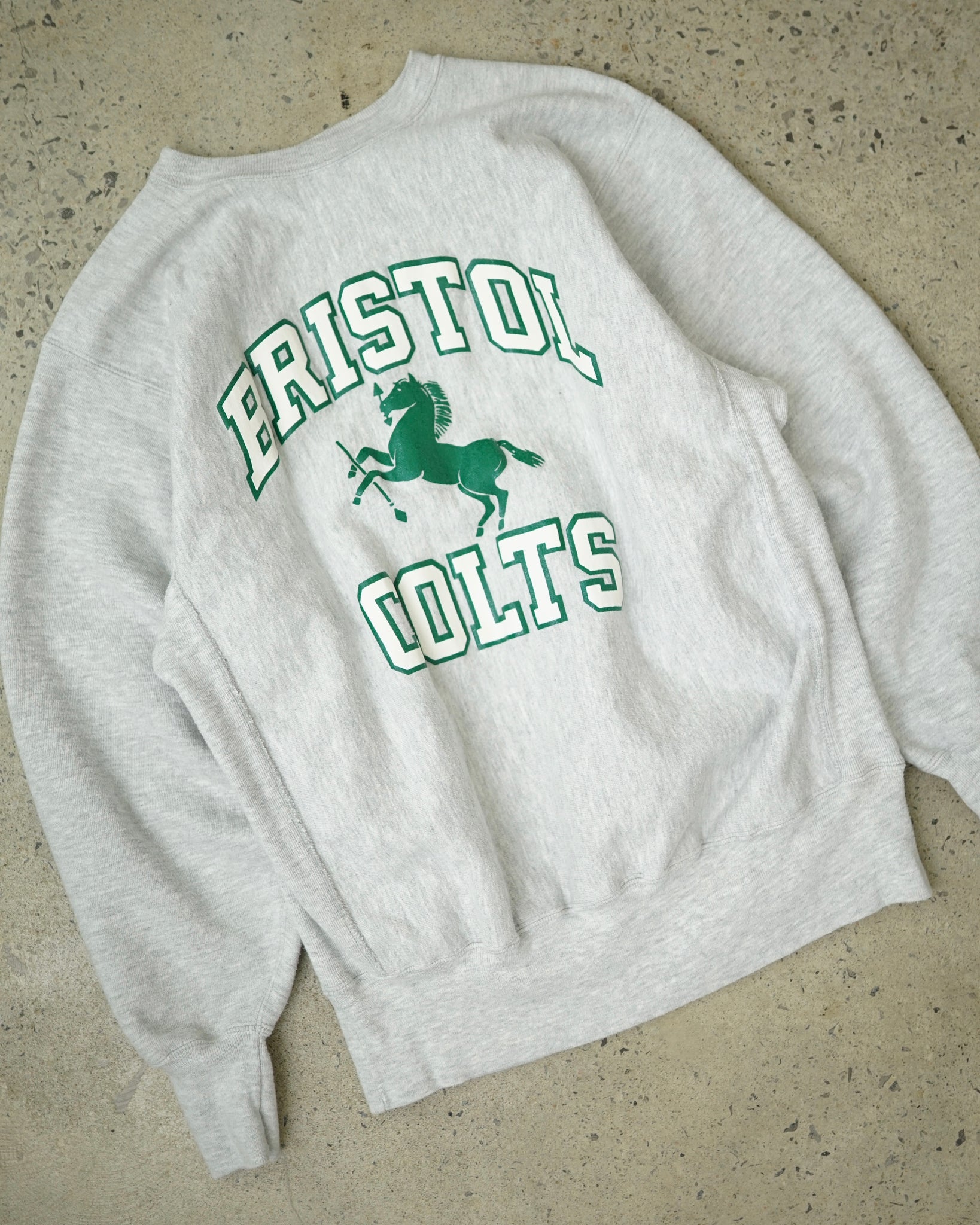 bristol colts champion reverse weave crewneck - large