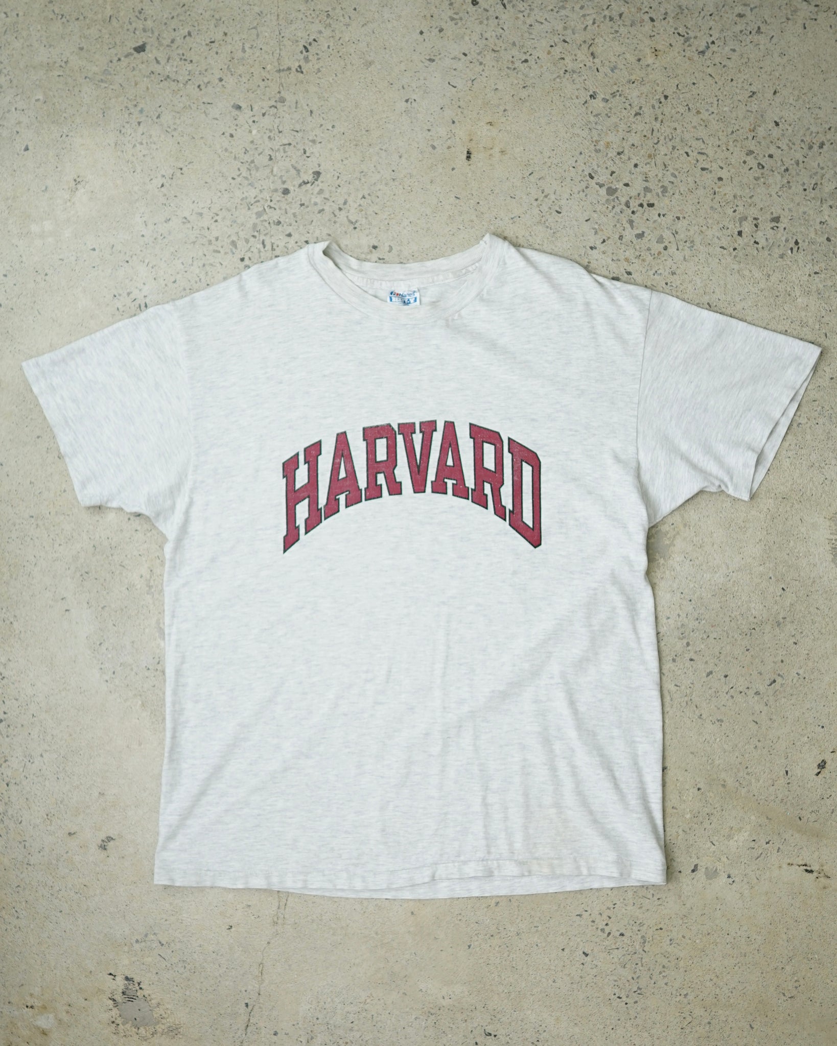 harvard t-shirt - XL